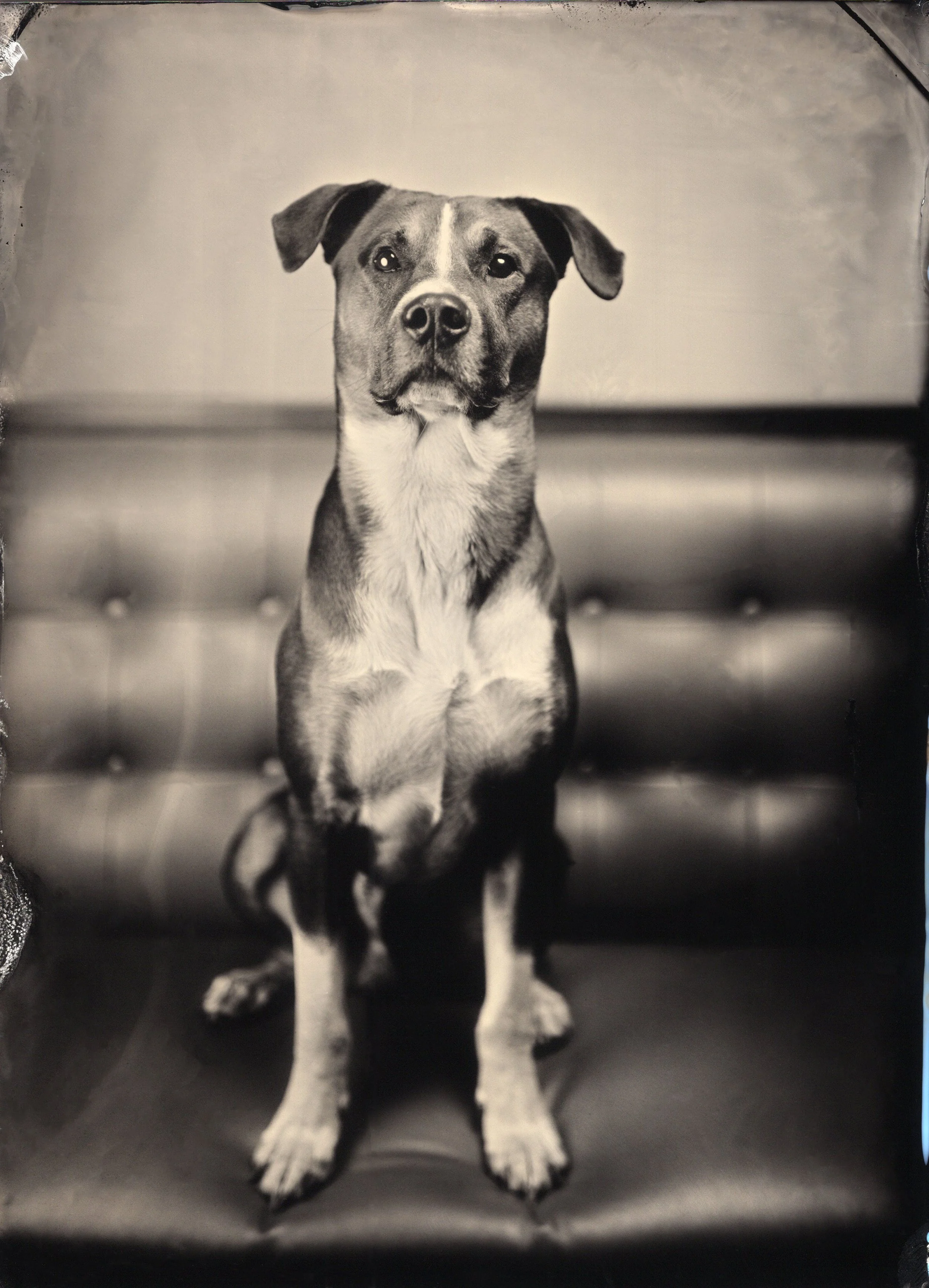 tintypes338.jpg