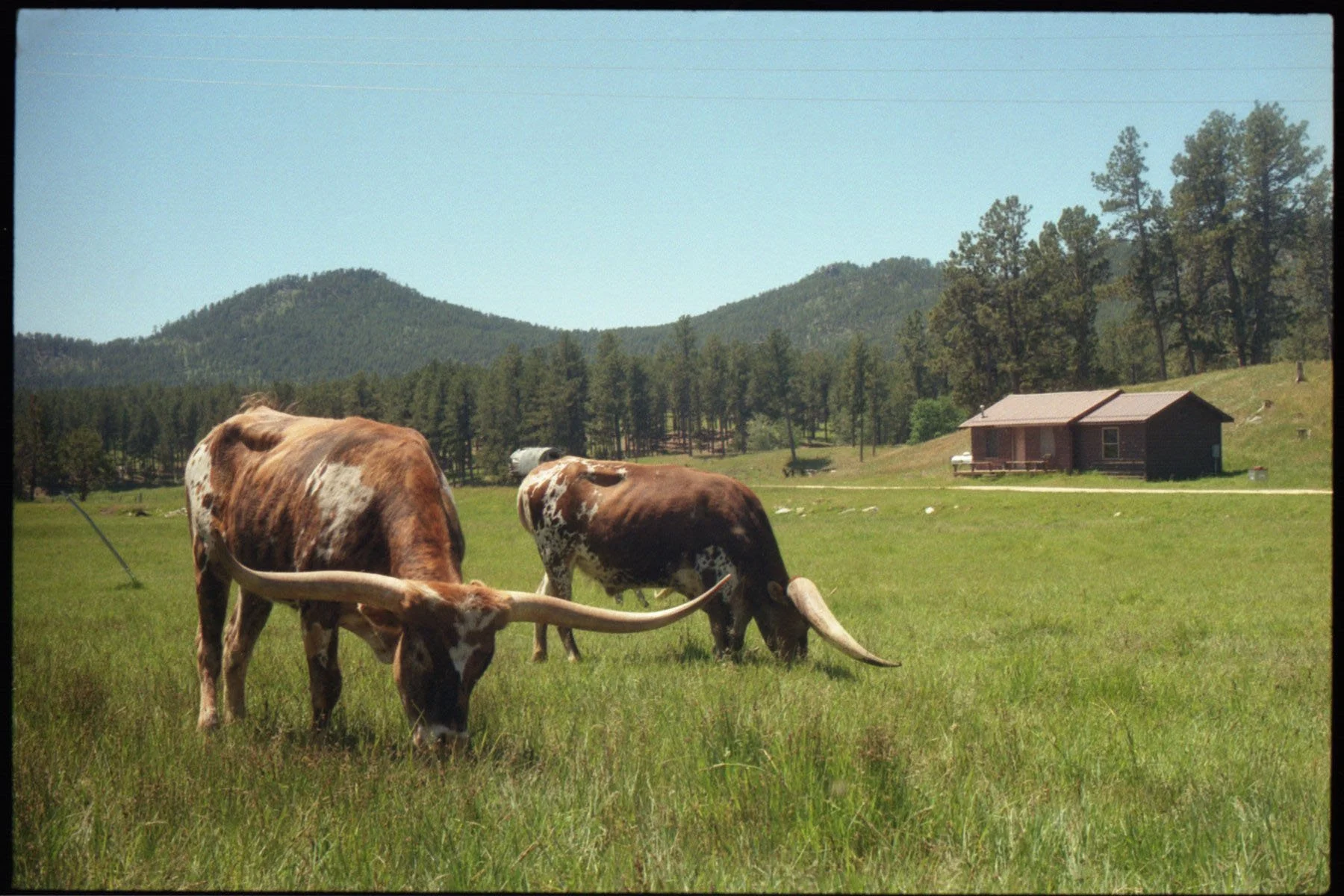 img20240703_19194534.jpg