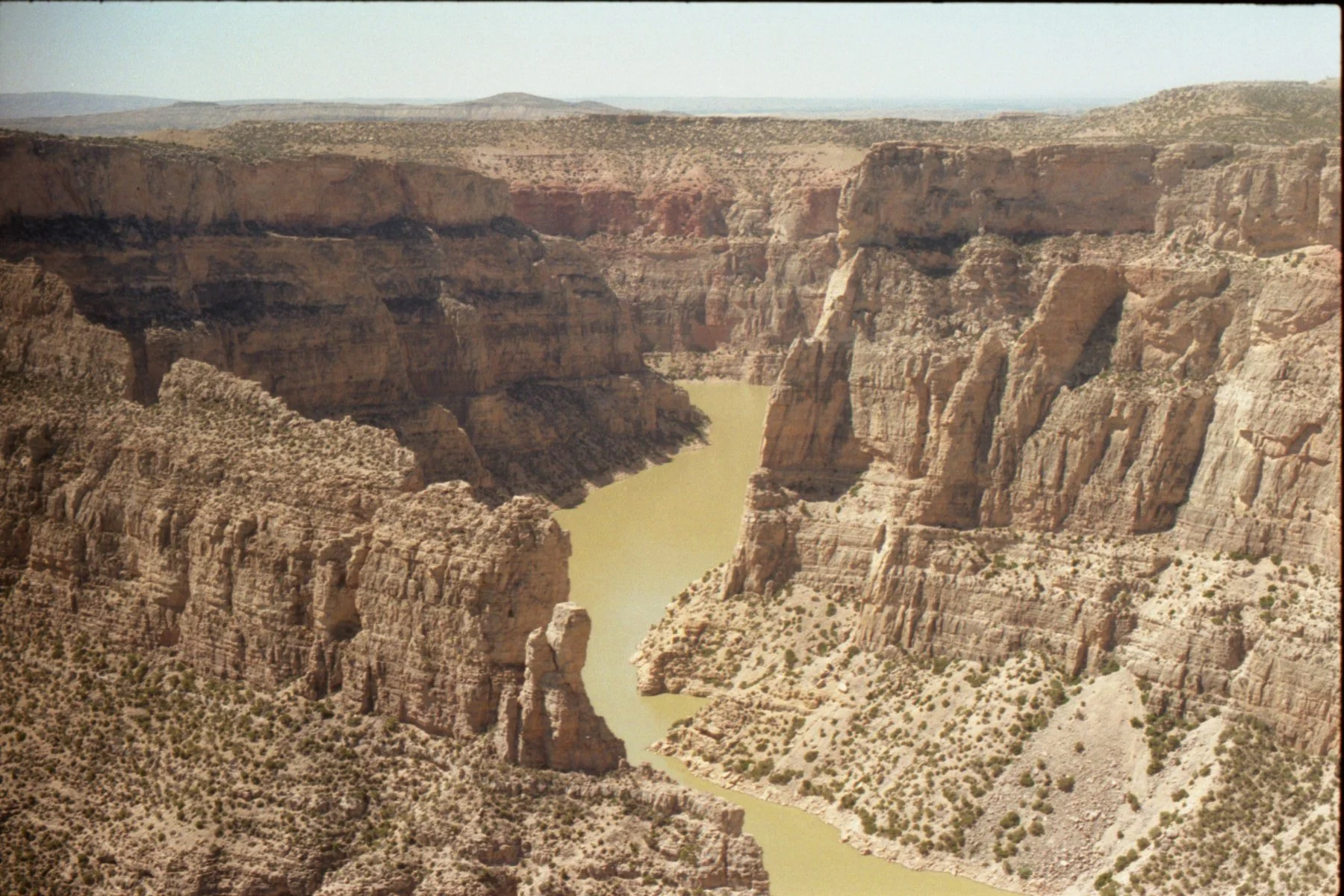 img20240703_19151767.jpg