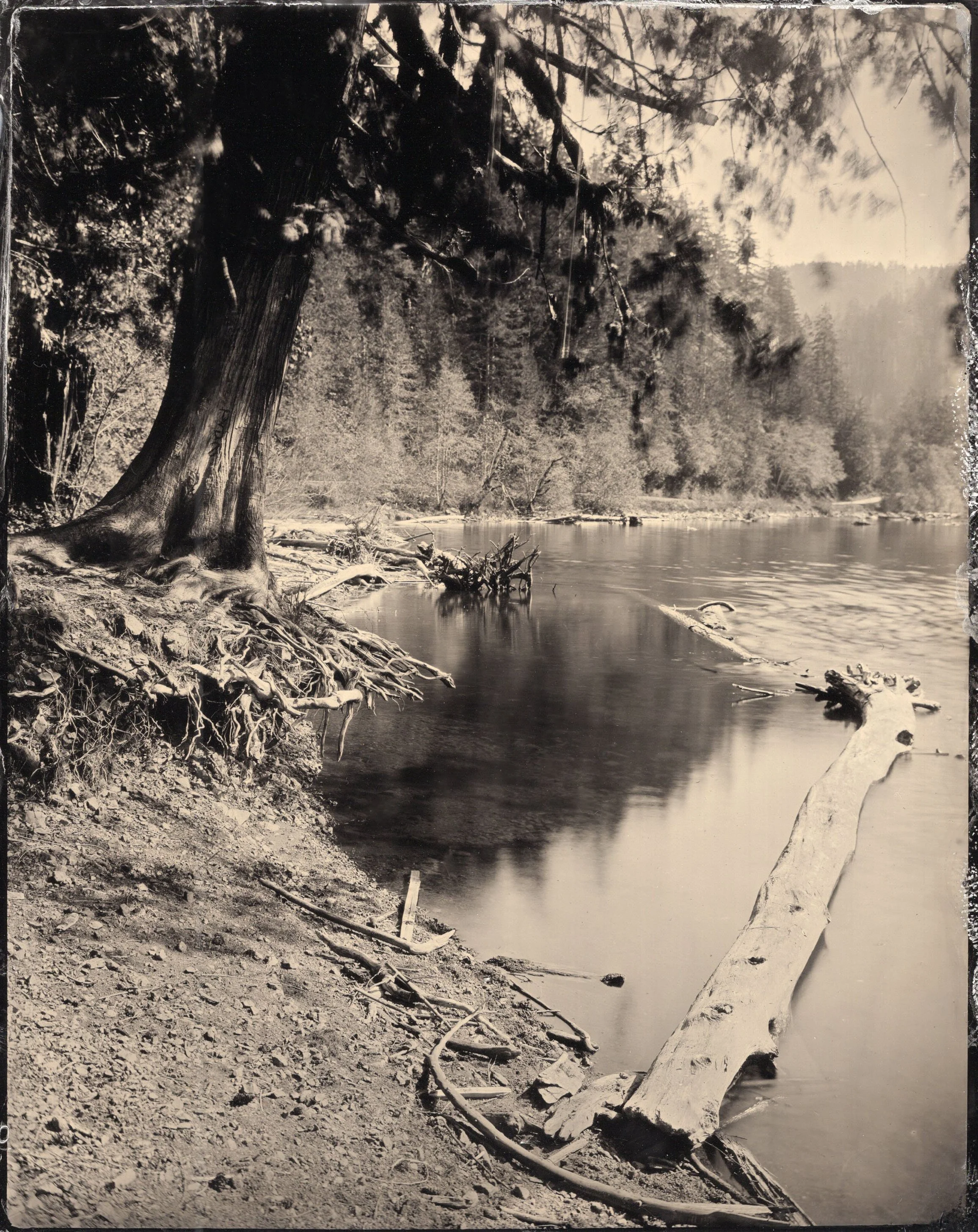 tintypes866.jpg