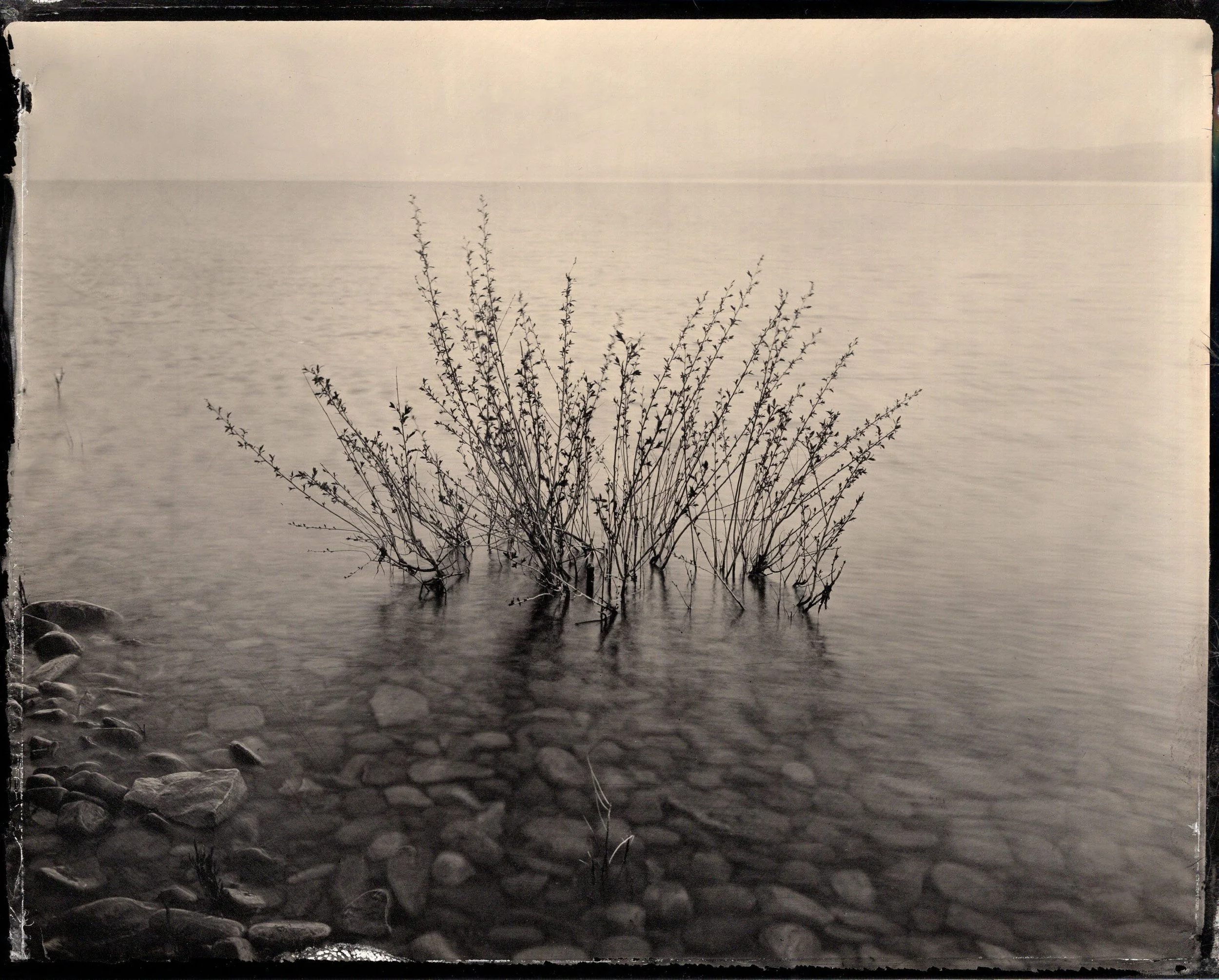 tintypes956.jpg