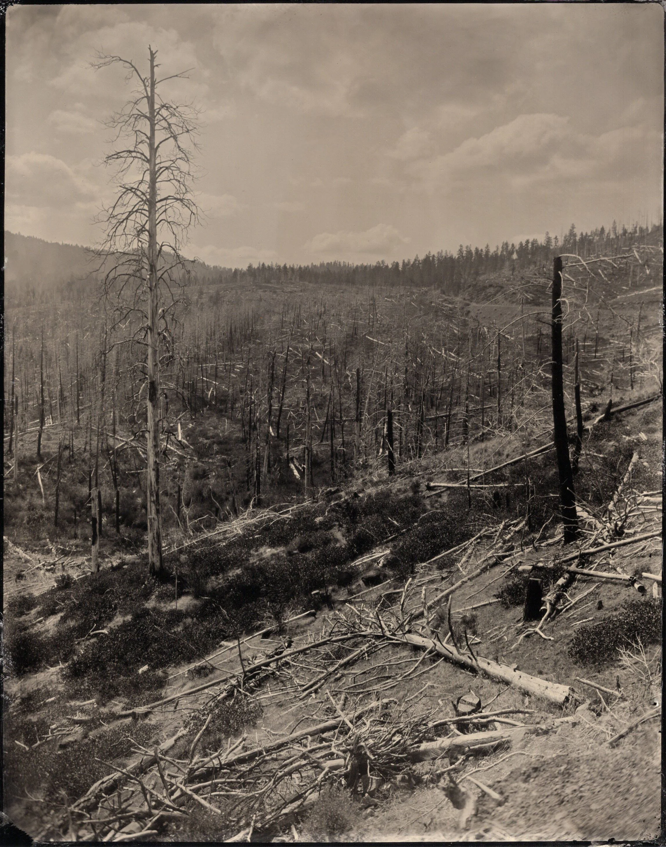 tintypes942.jpg