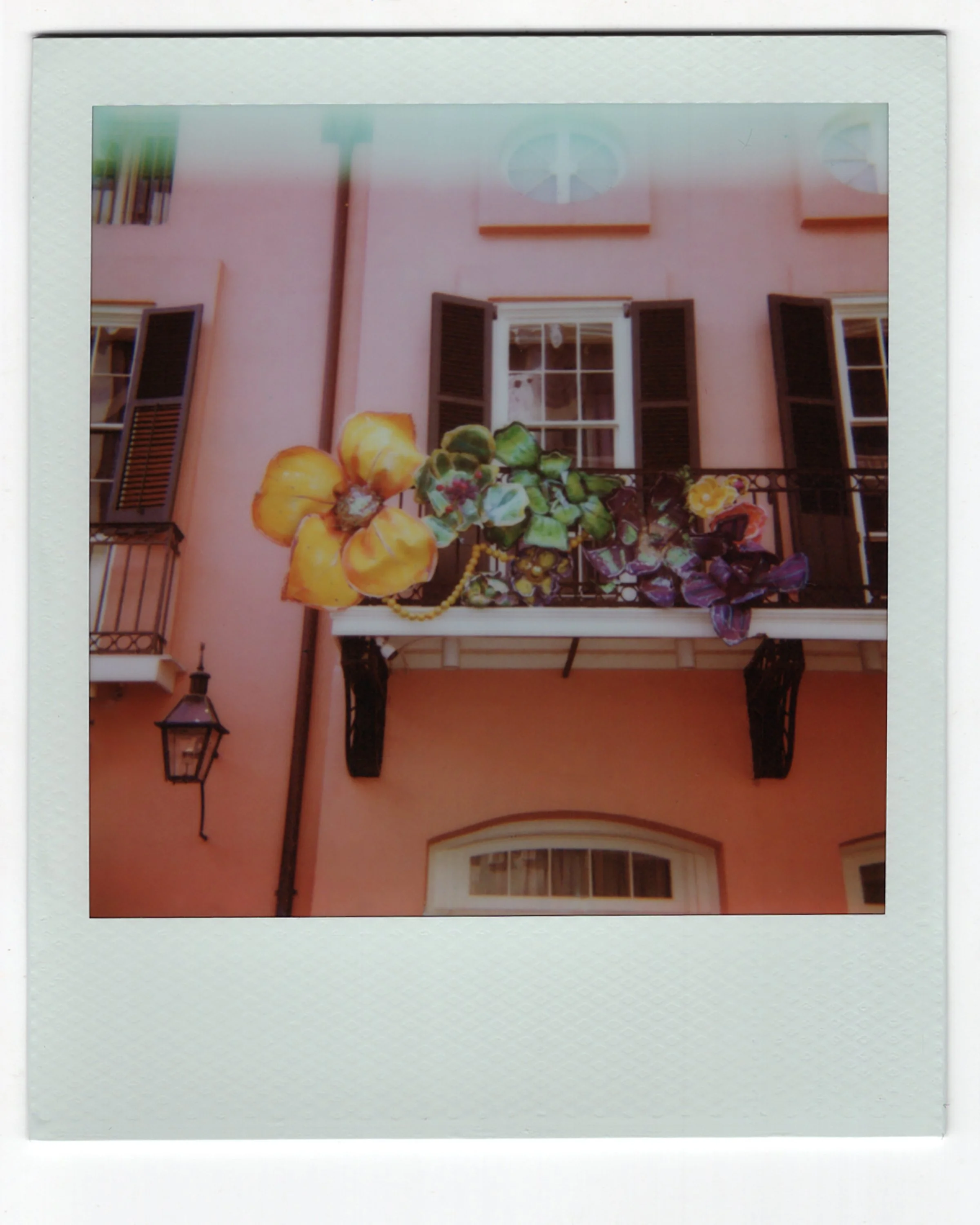 polaroid009.jpg