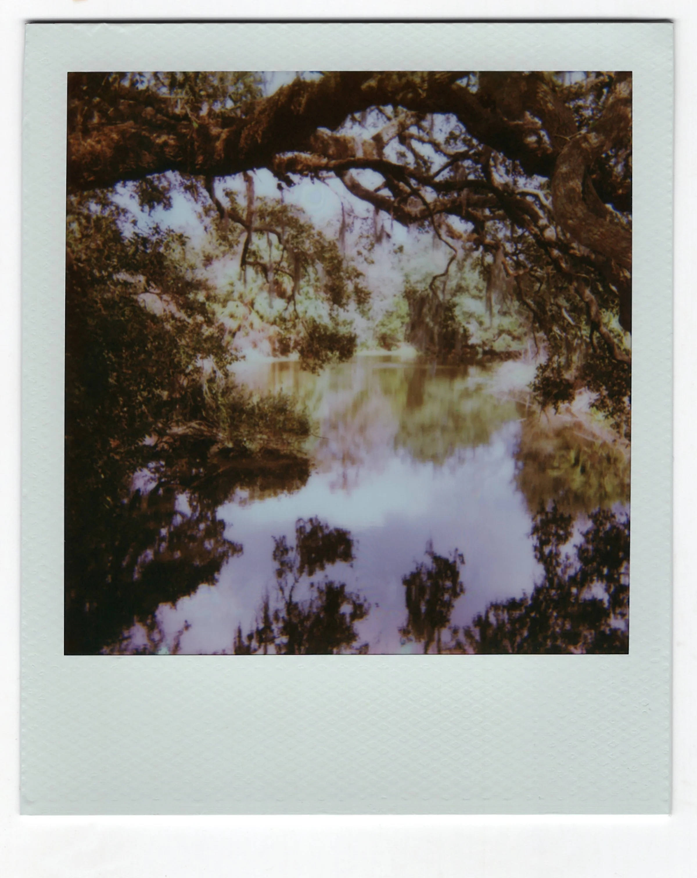 polaroid018.jpg