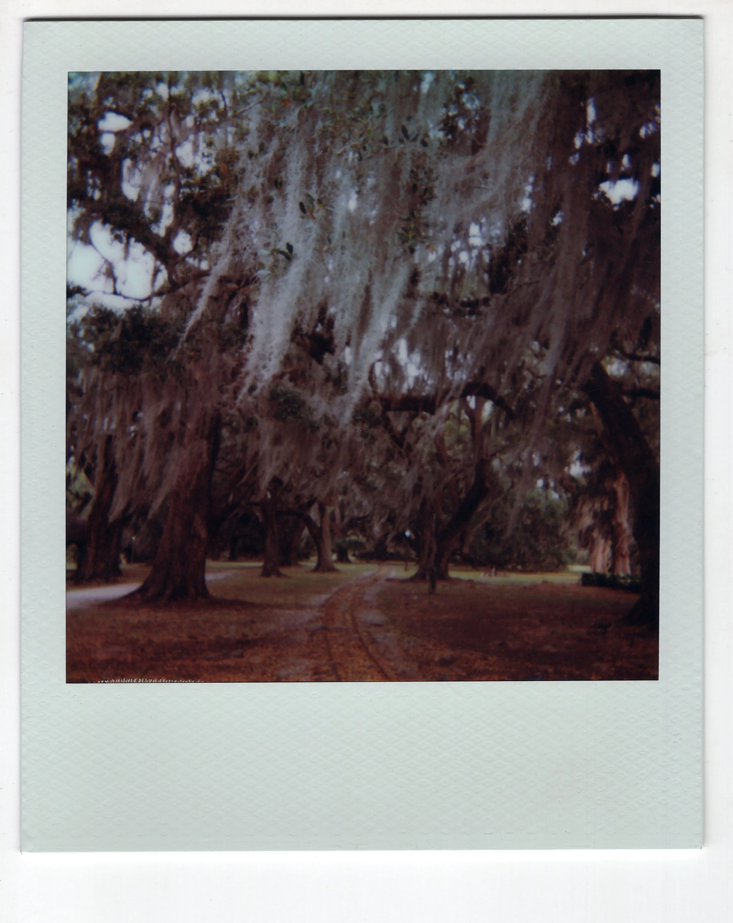 polaroids024b.jpg
