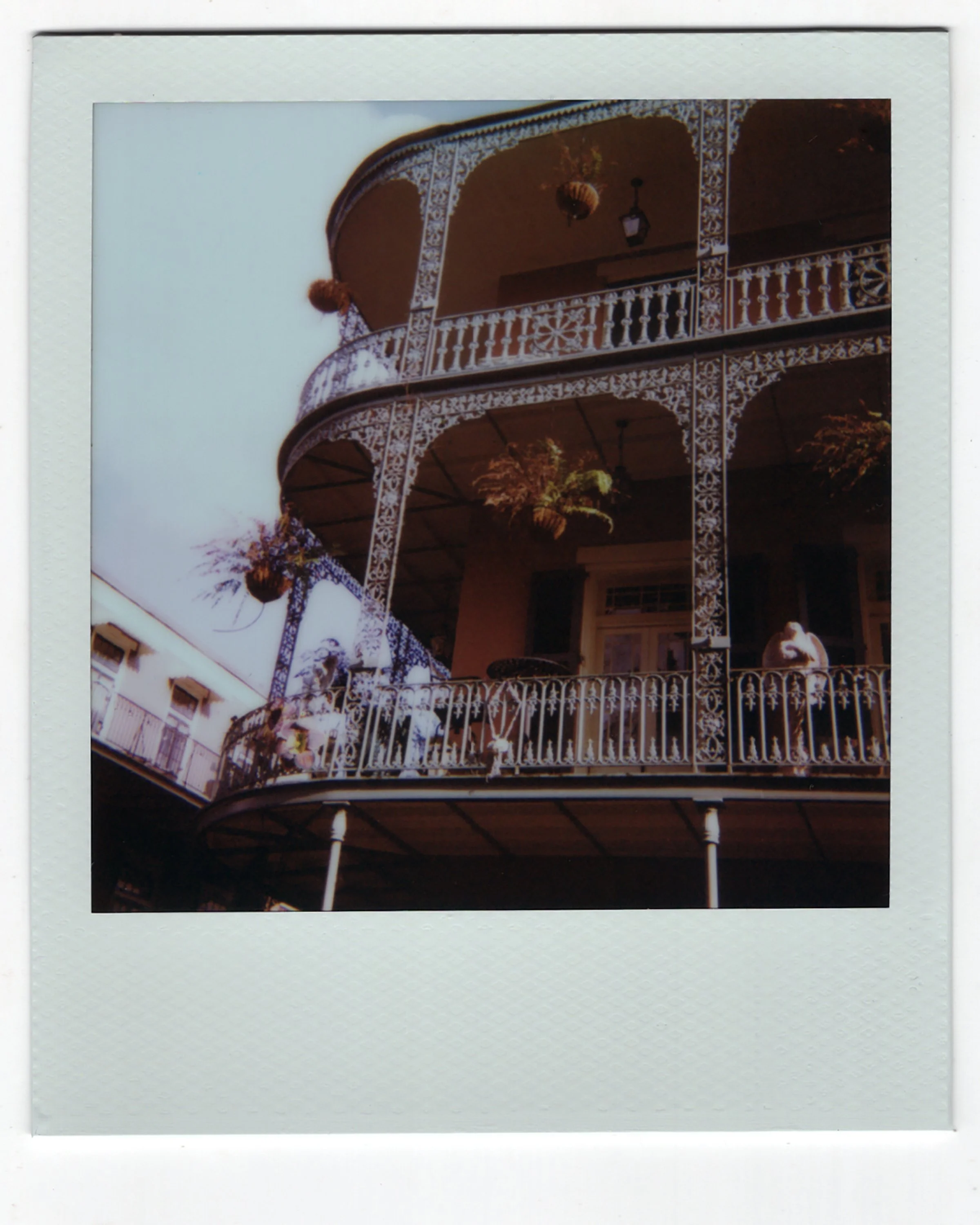 polaroid013.jpg