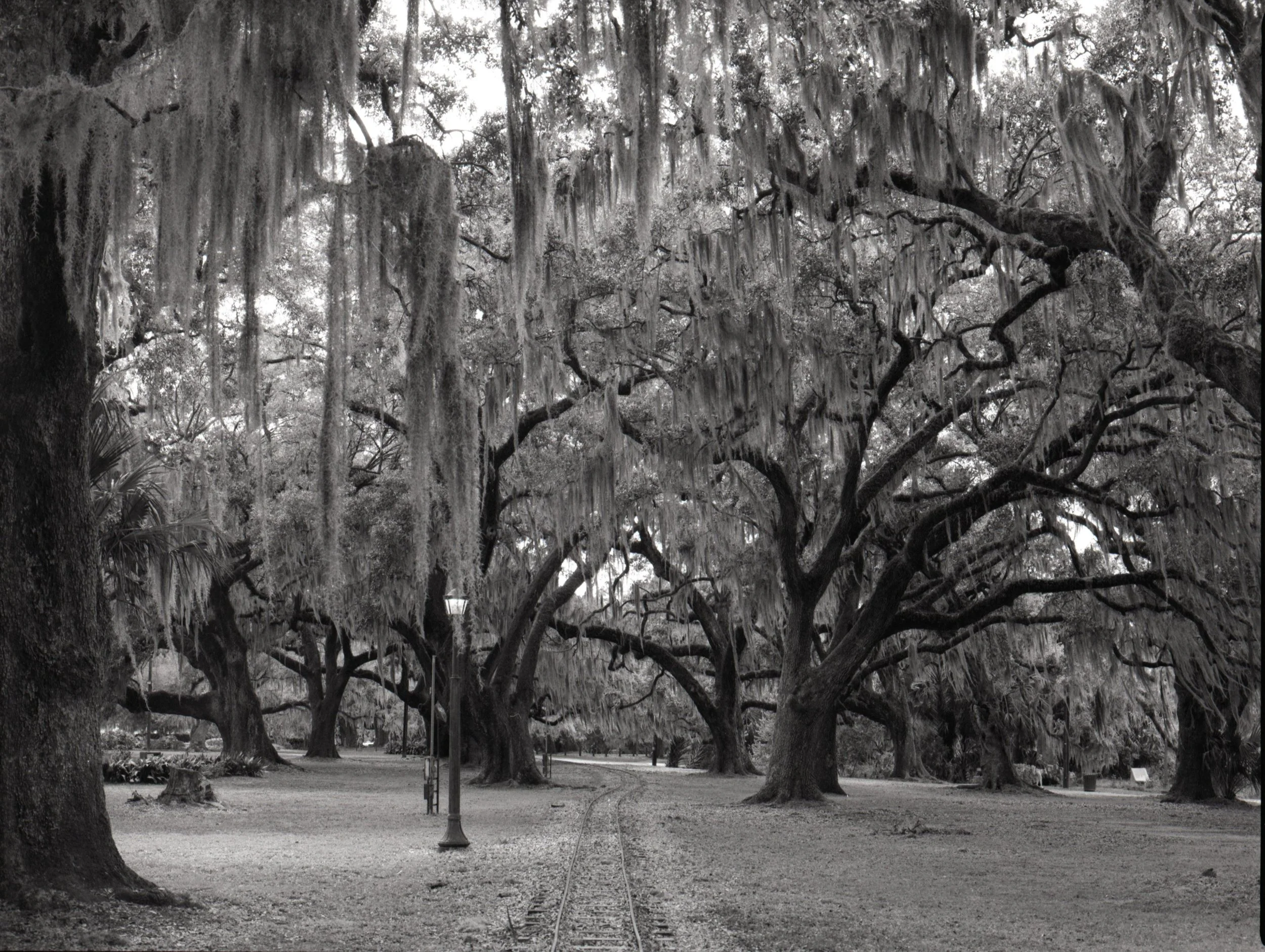 120film91.jpg
