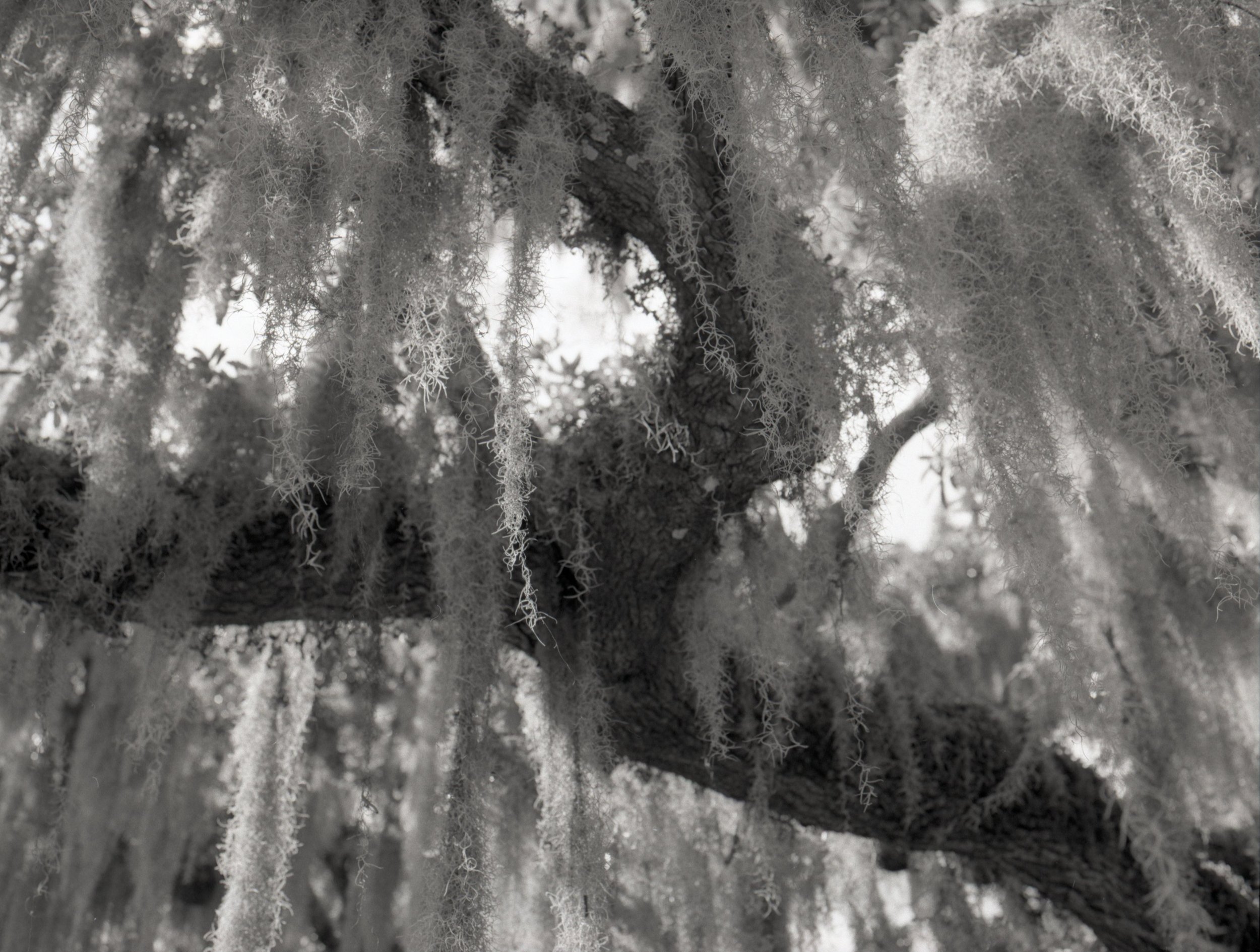 120film92.jpg