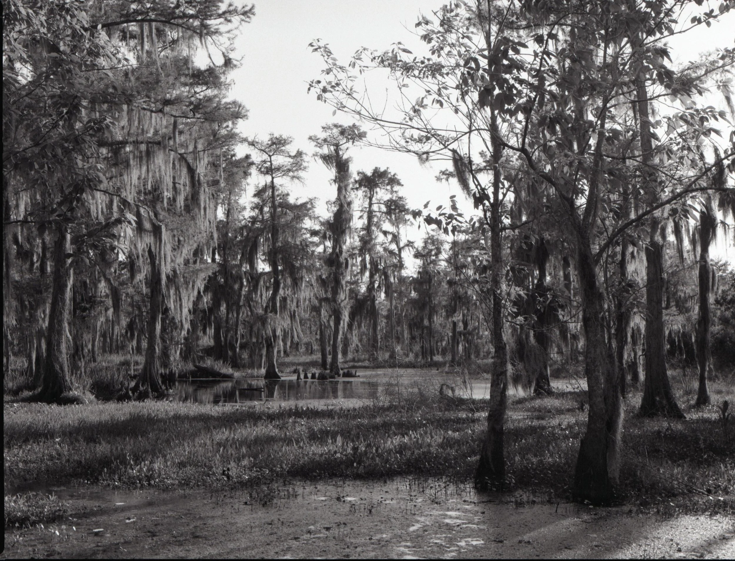 120film77.jpg