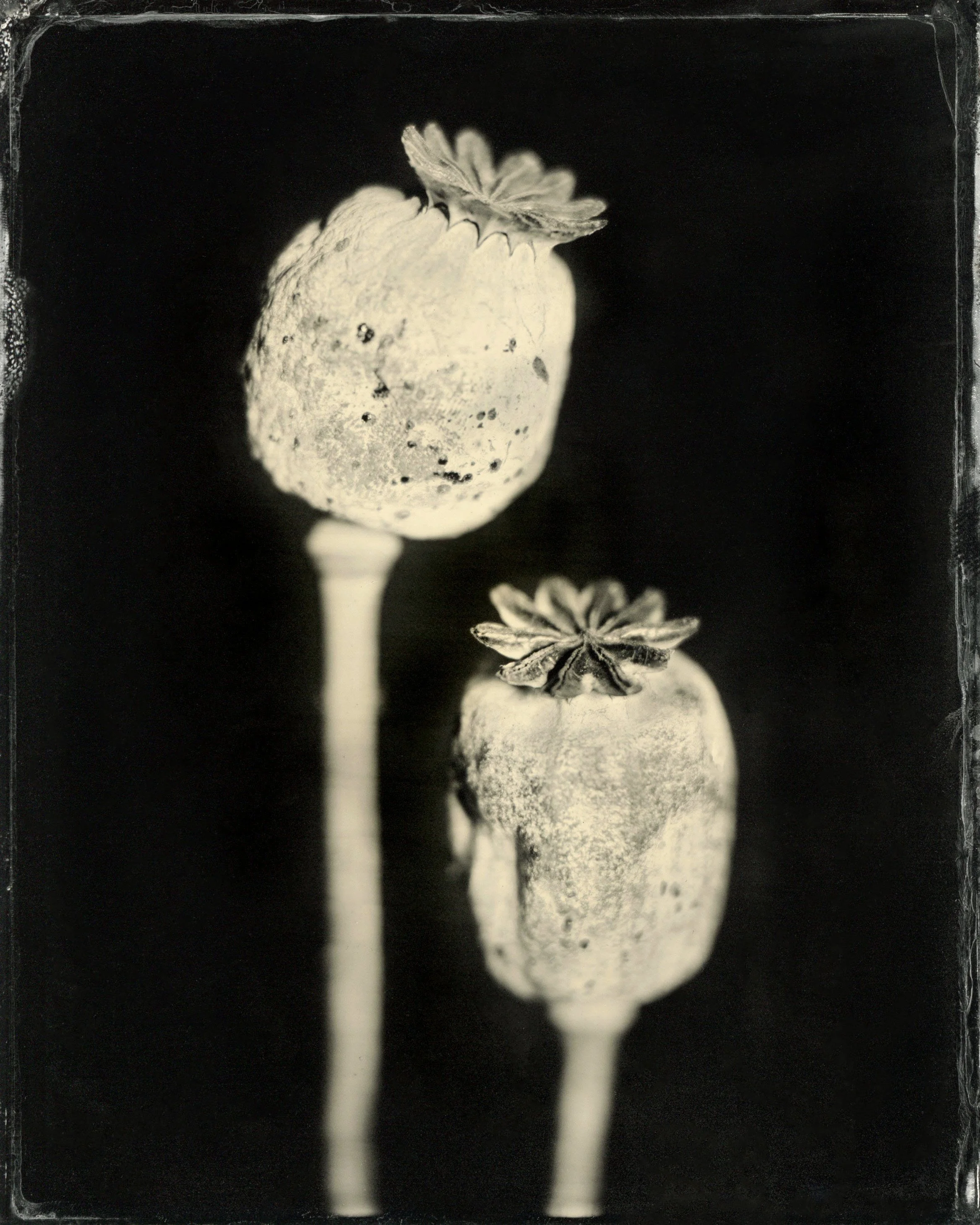 120film16.jpg