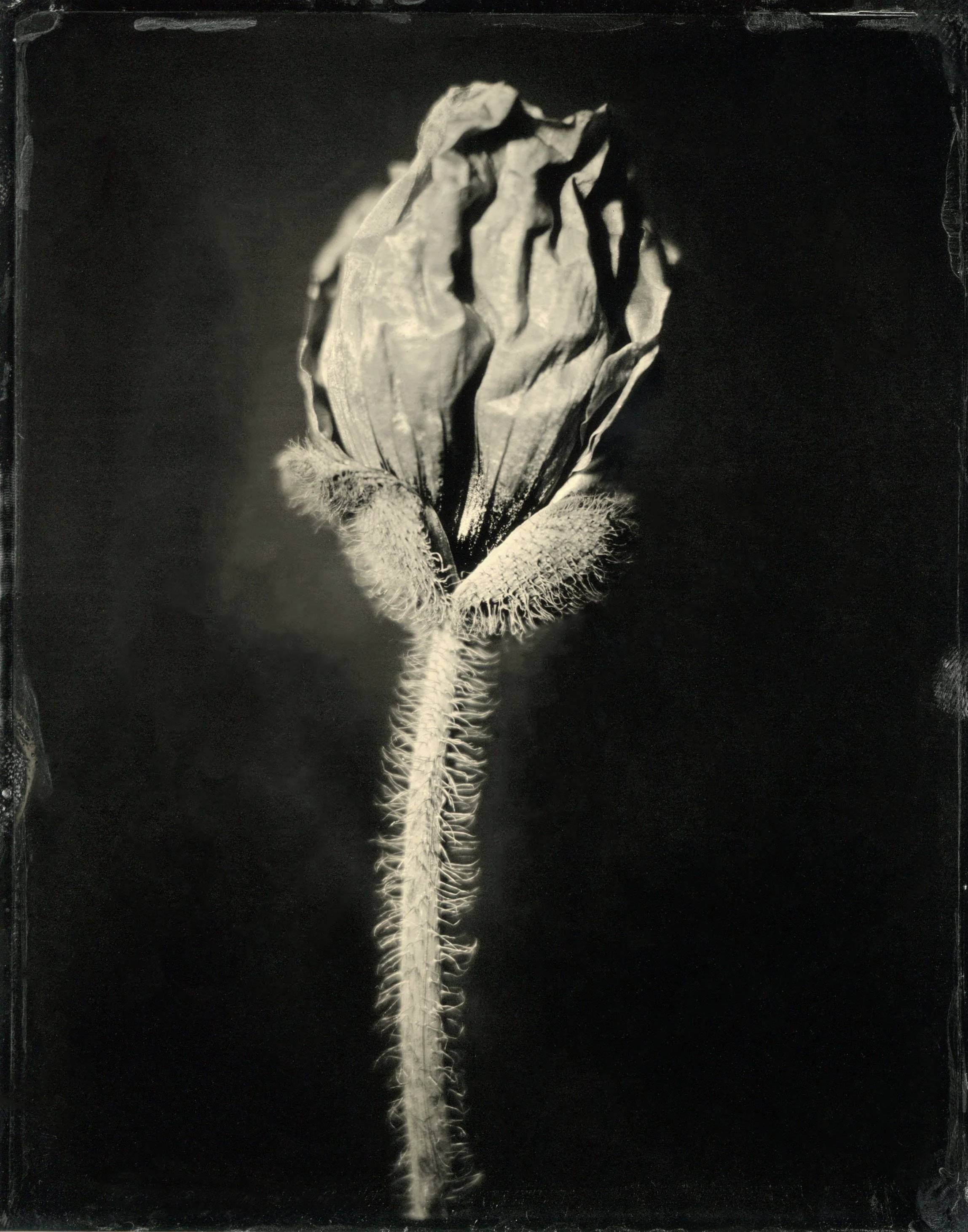 120film28.jpg