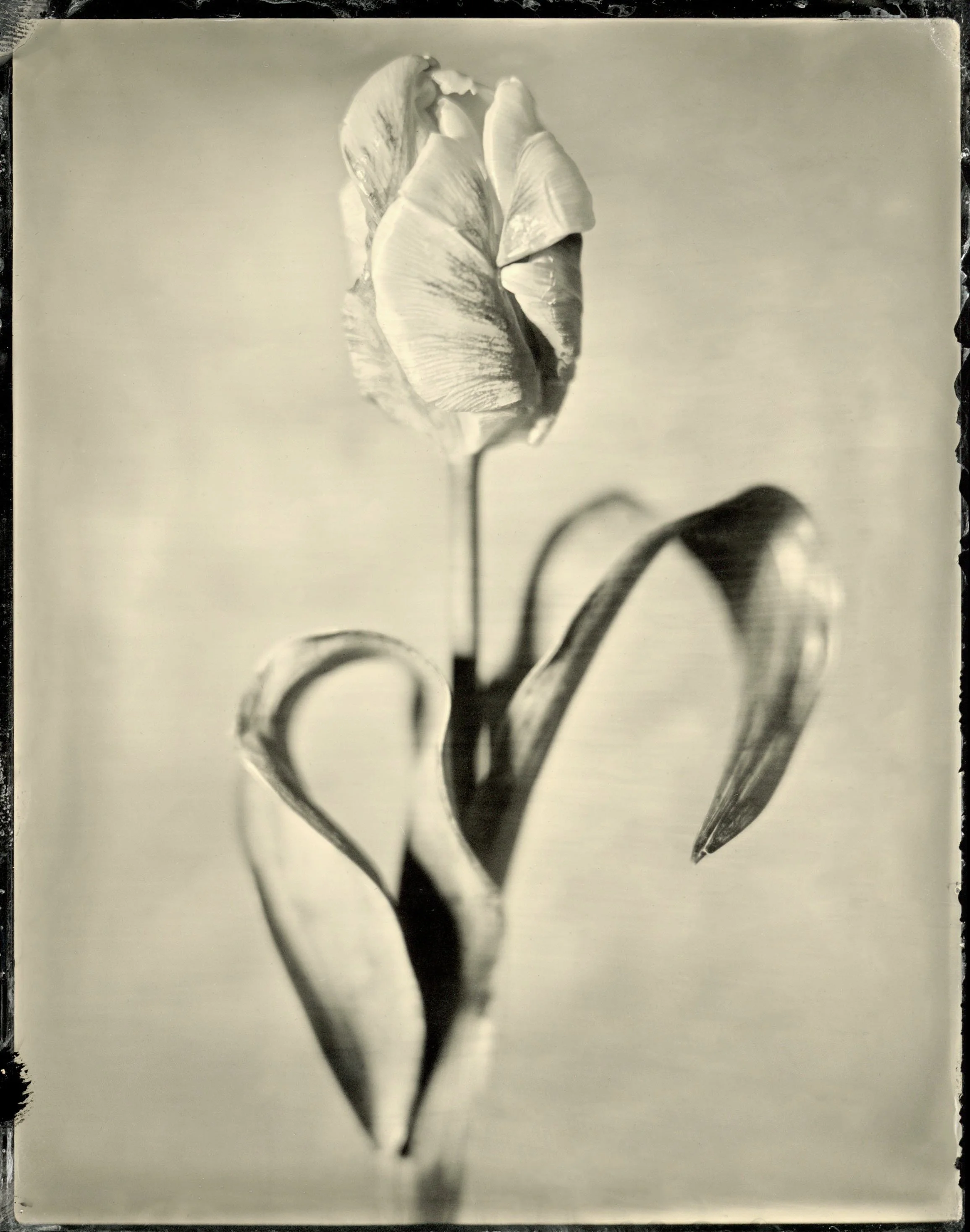 120film55.jpg