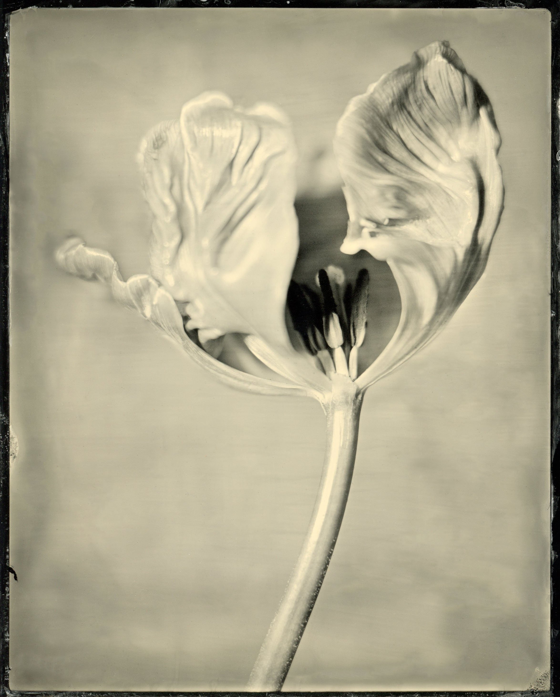 120film57.jpg