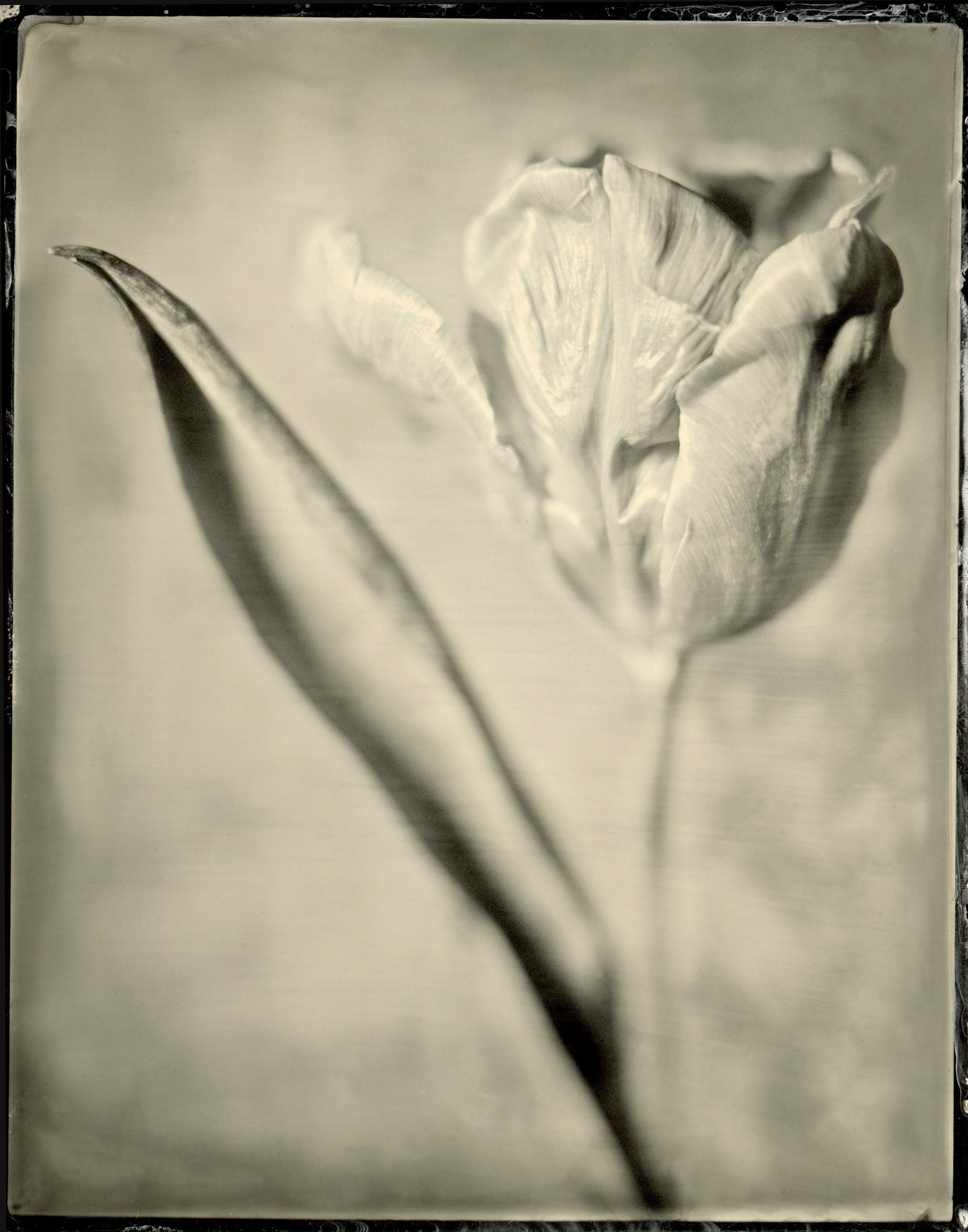 120film58.jpg