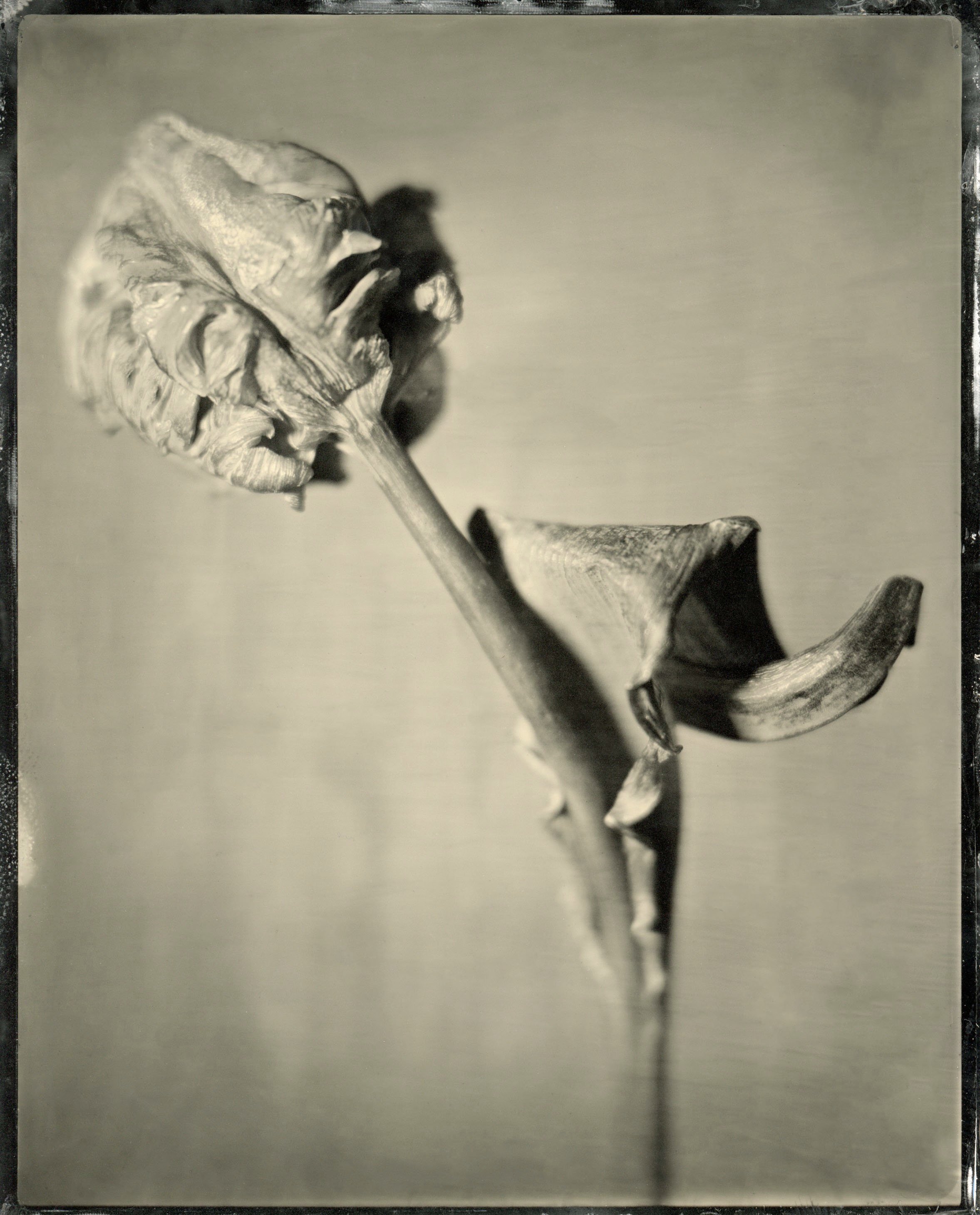 film03.jpg