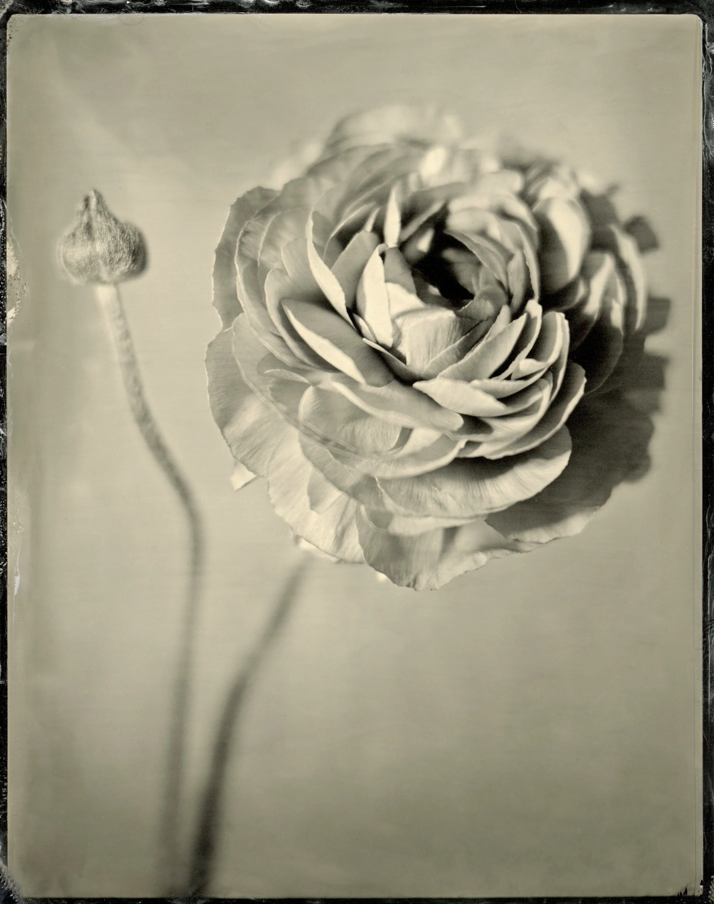 film05.jpg