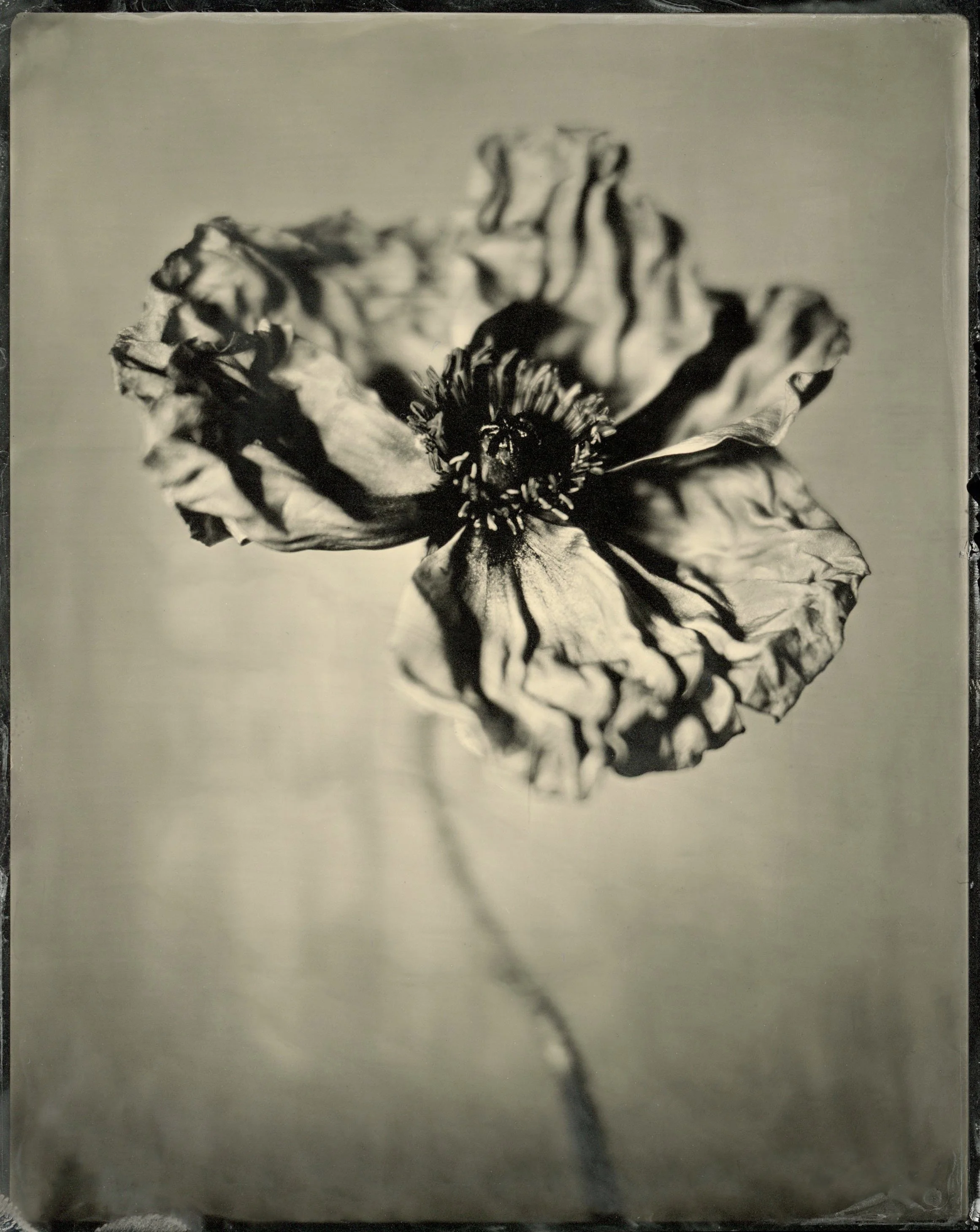 film06.jpg