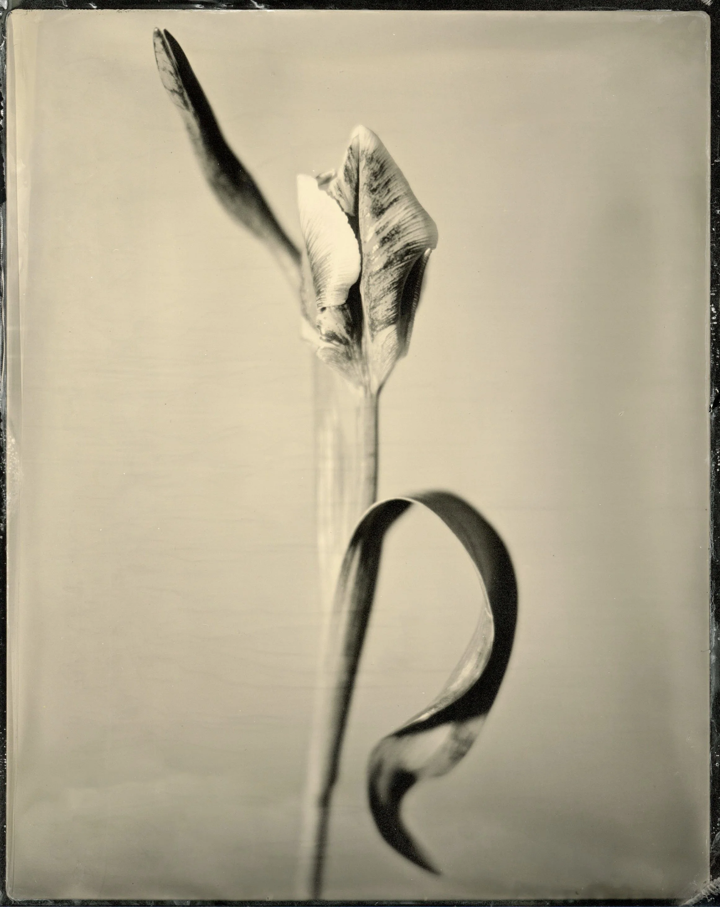 film07.jpg