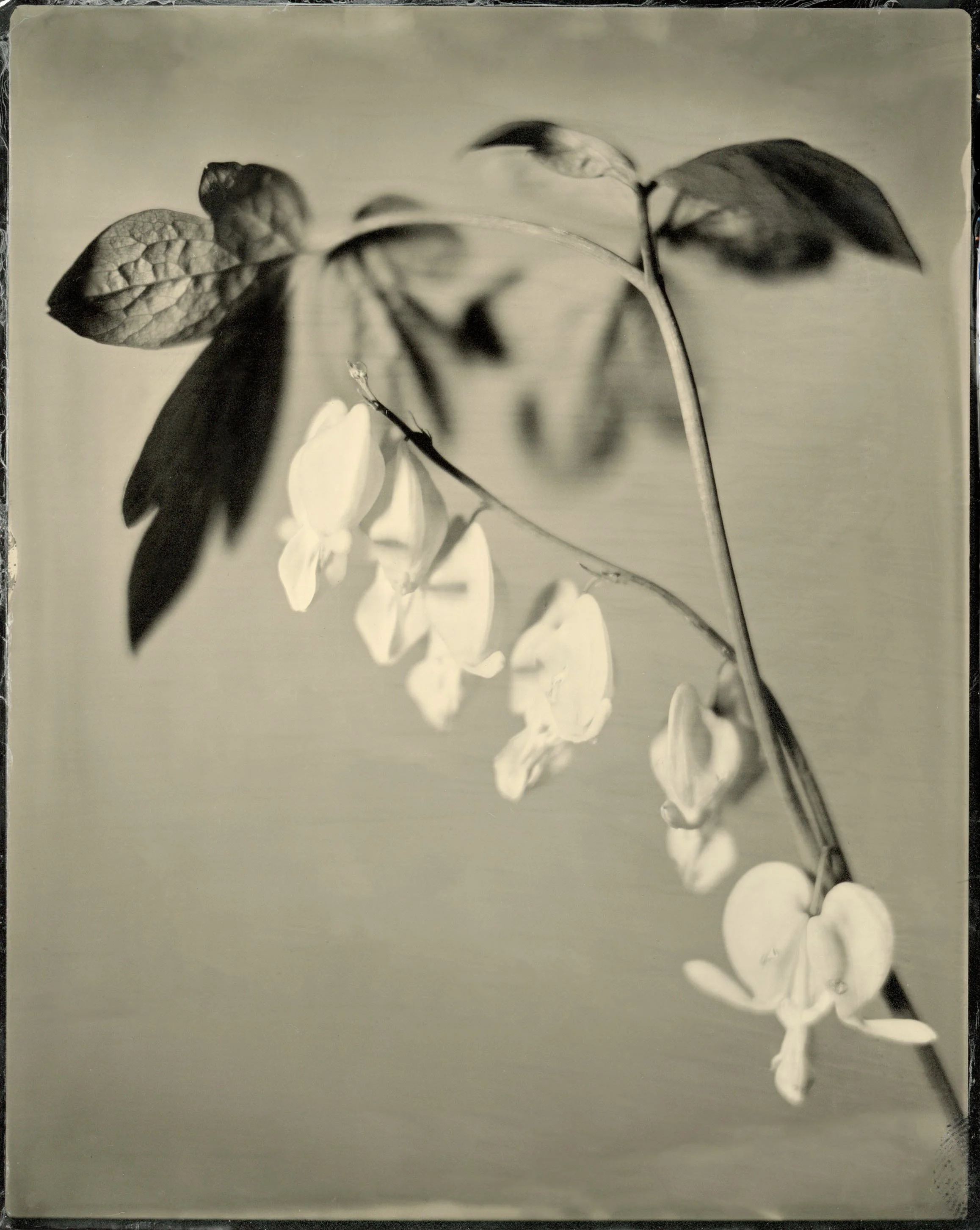 film10.jpg