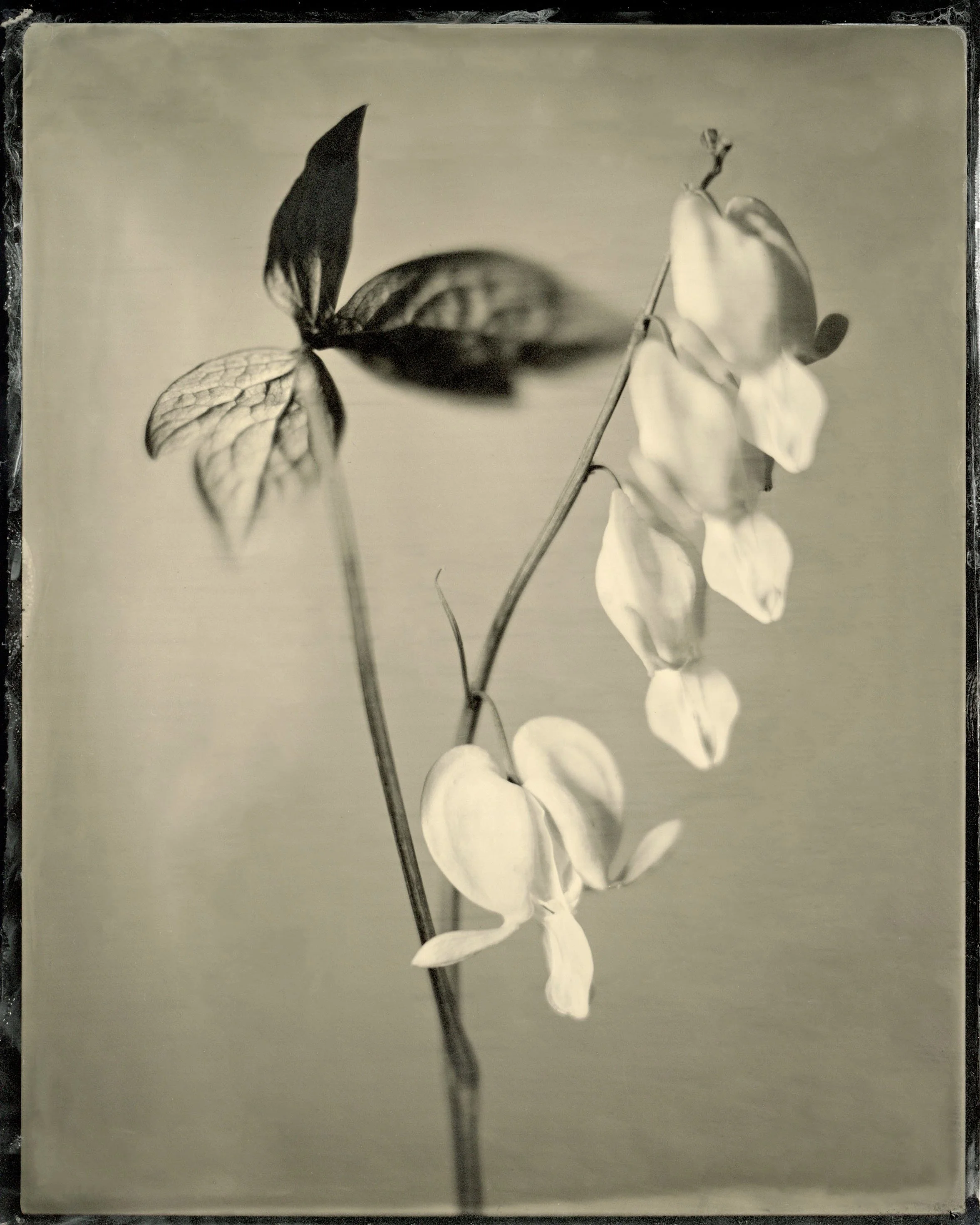 film11.jpg