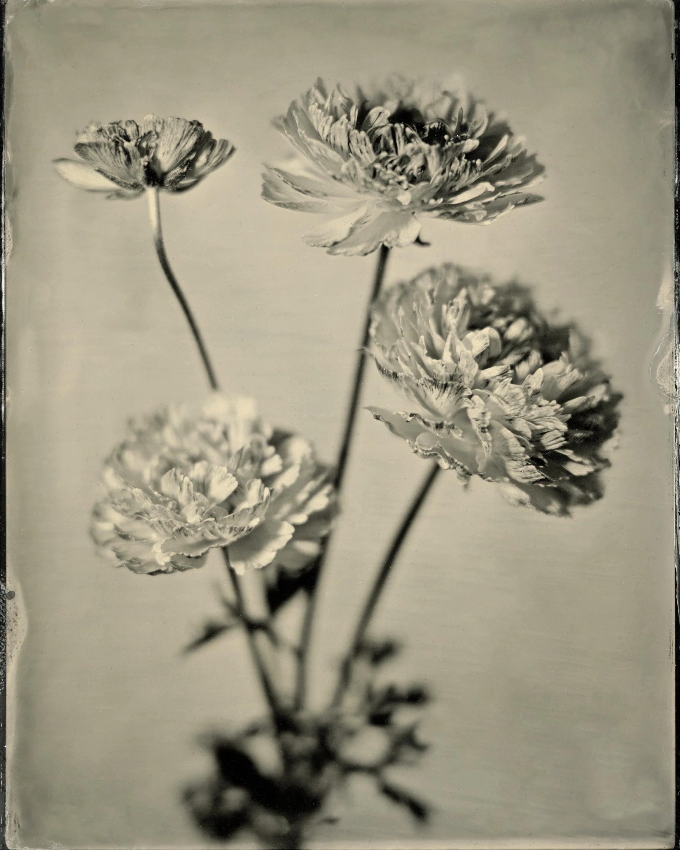 120film99.jpg