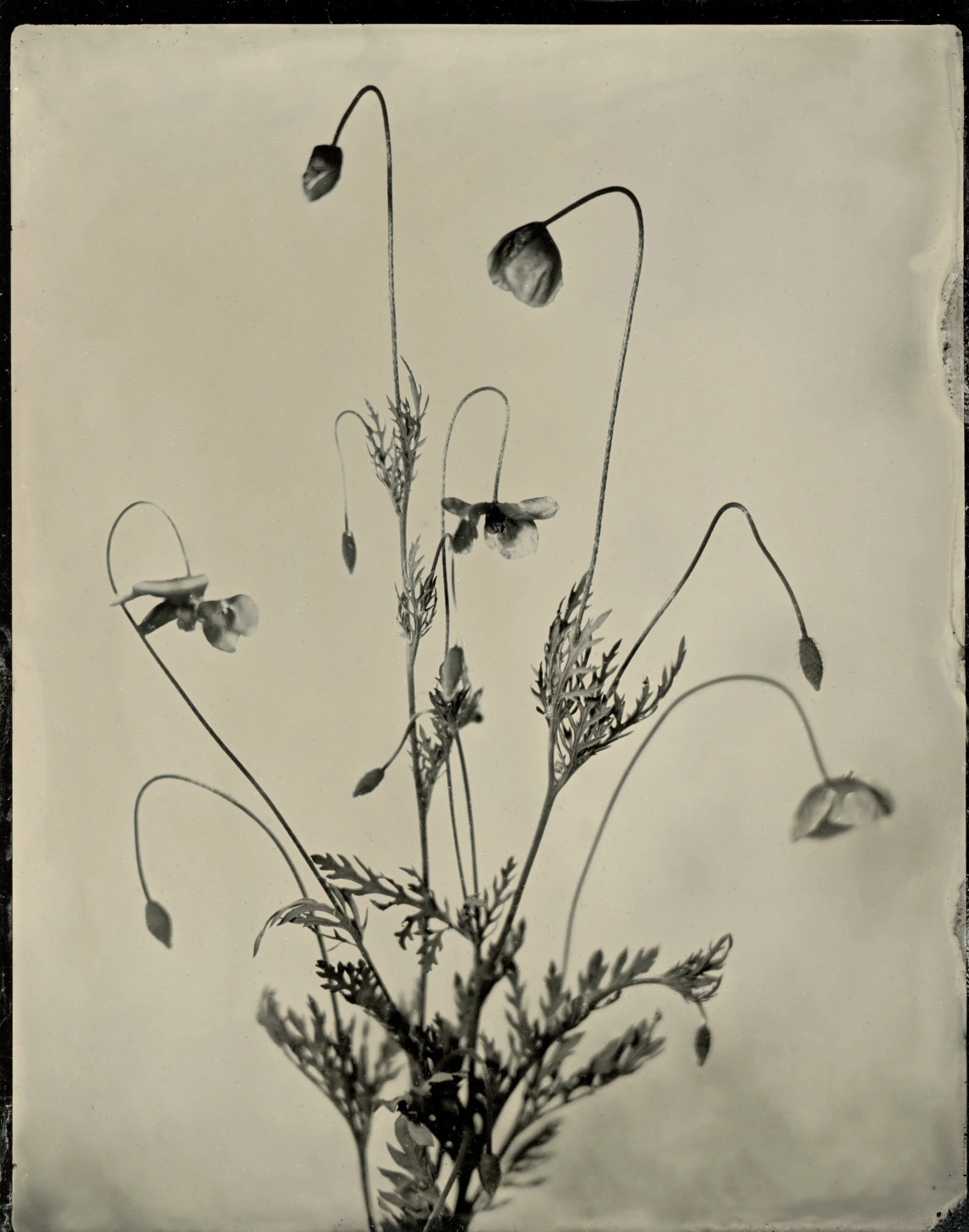 120film03.jpg
