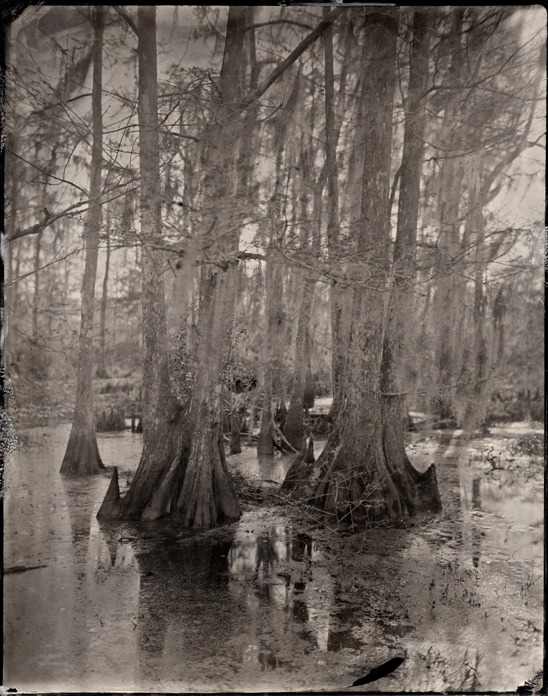 polaroids037 copy.jpg