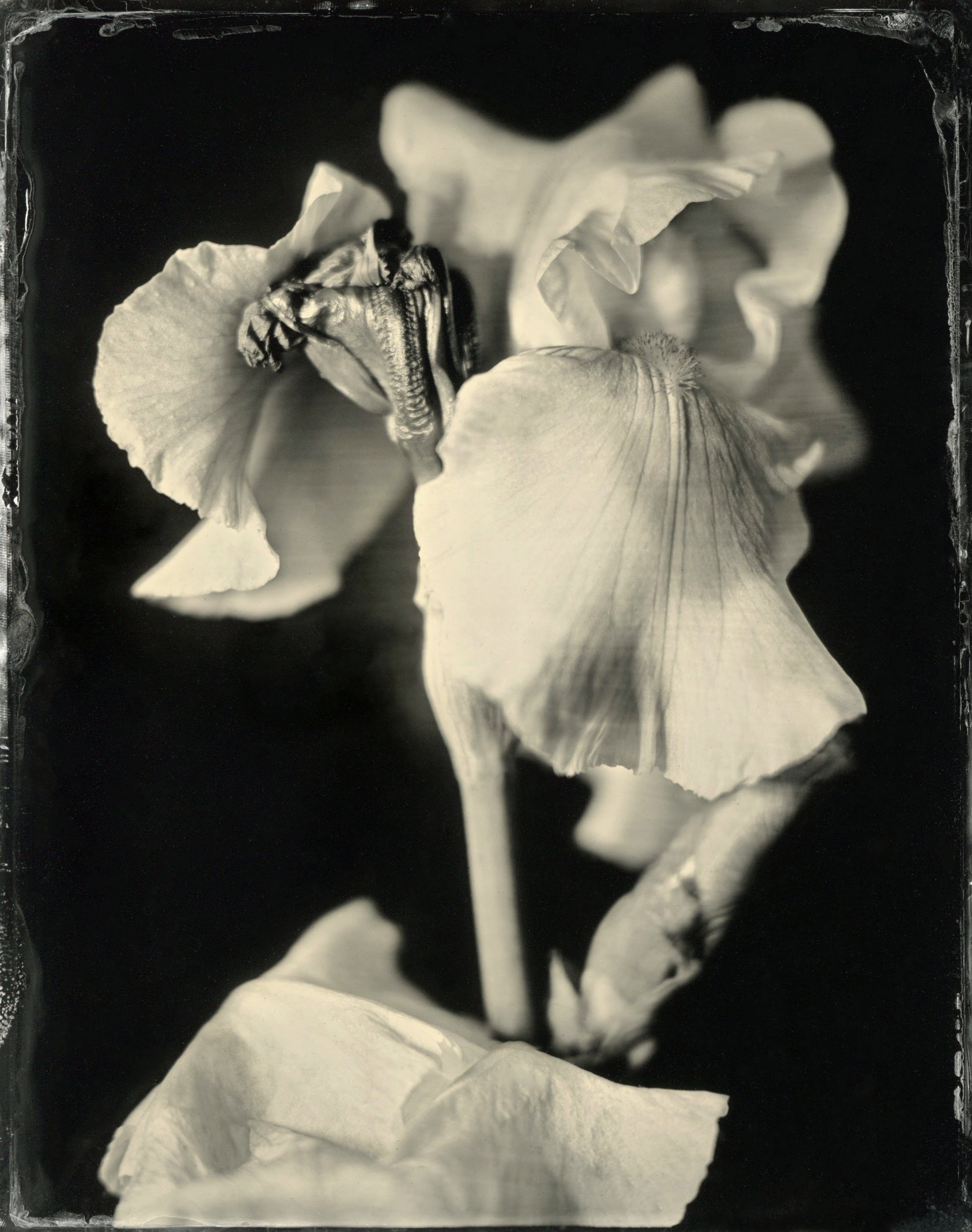 120film13.jpg