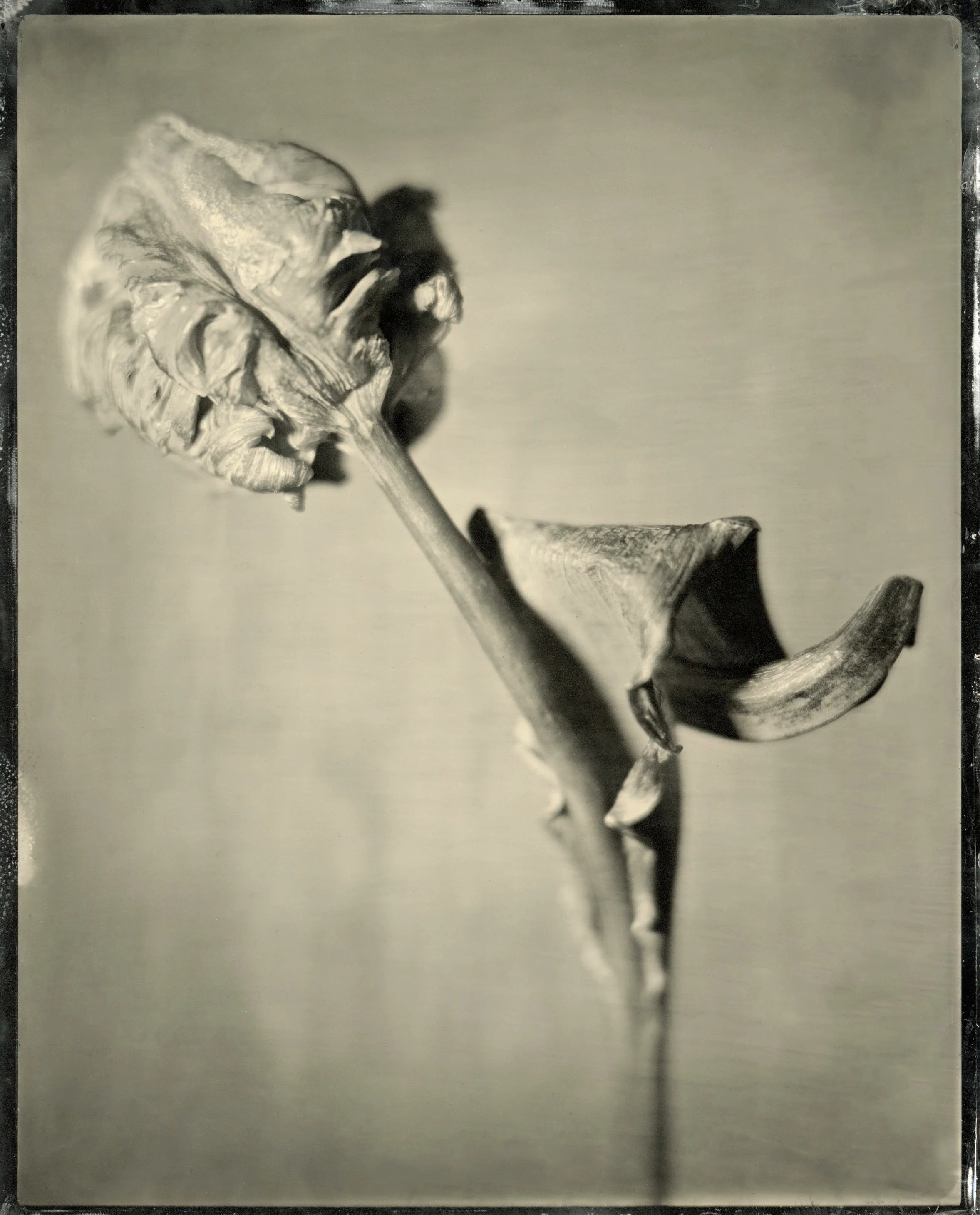 film03.jpg