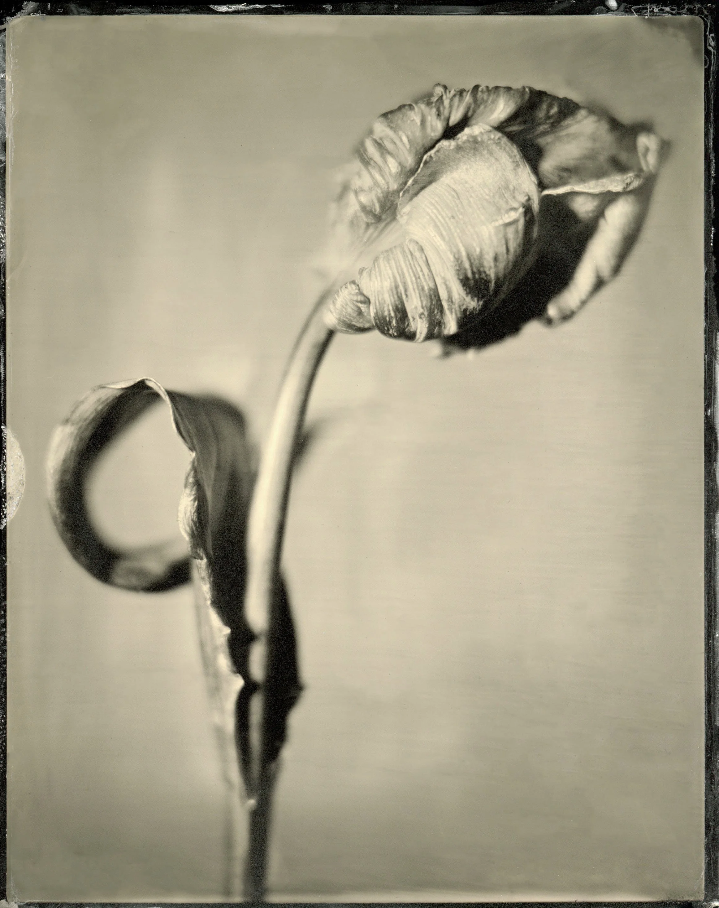 film04.jpg