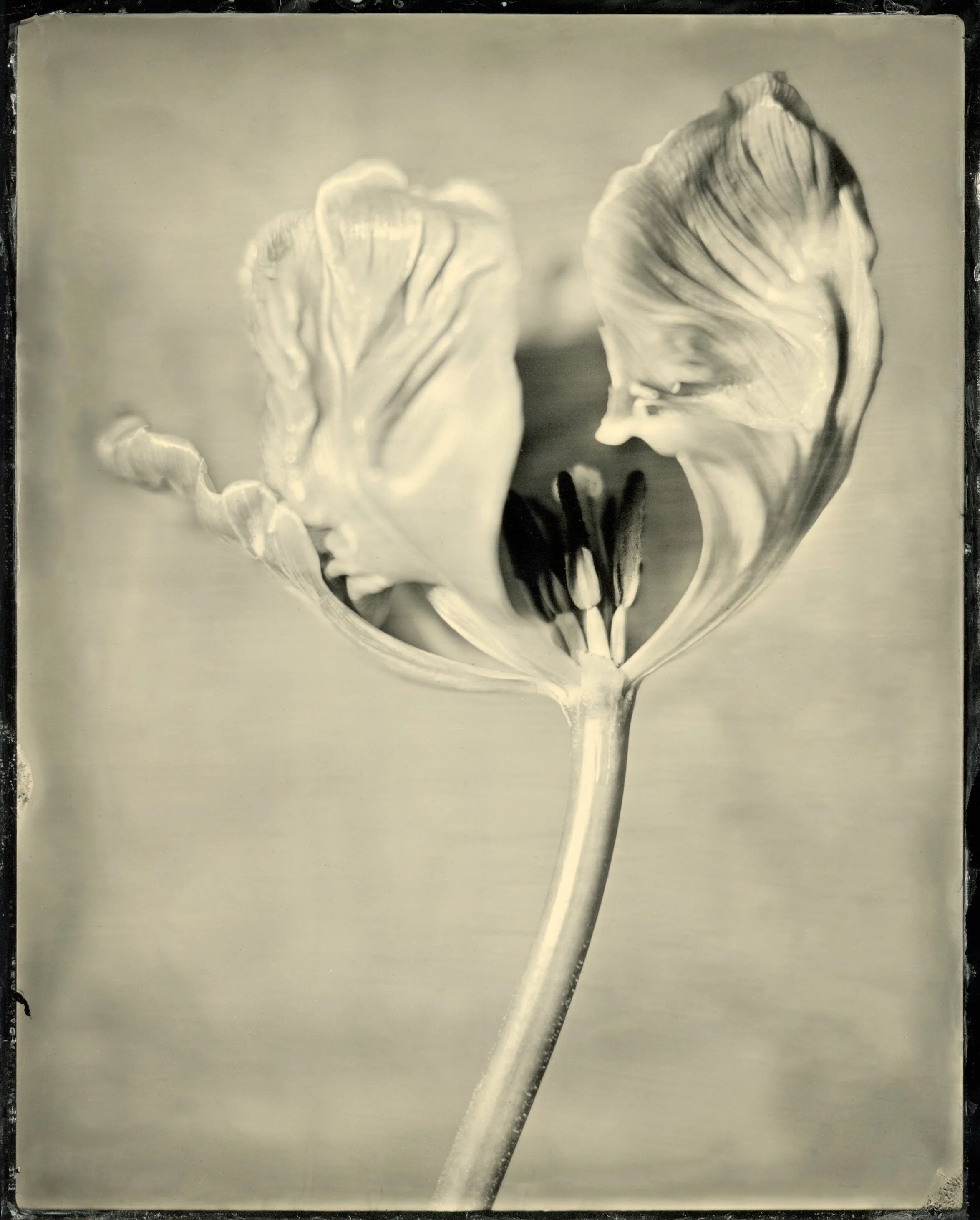 120film57.jpg