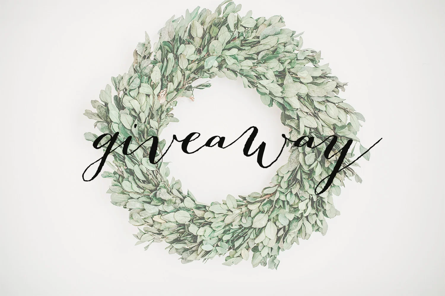 plain give away.jpg