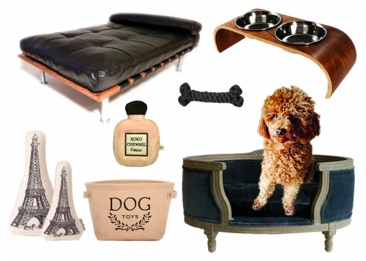 Dog beds and other design details to consider for your home
