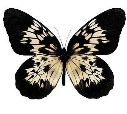 The greatest transformations don&rsquo;t happen without complete surrender. 

You have to be willing to completely dismantle the conditions that withhold you from realizing your potential if you ever have a hope of reaching greater heights.

From our