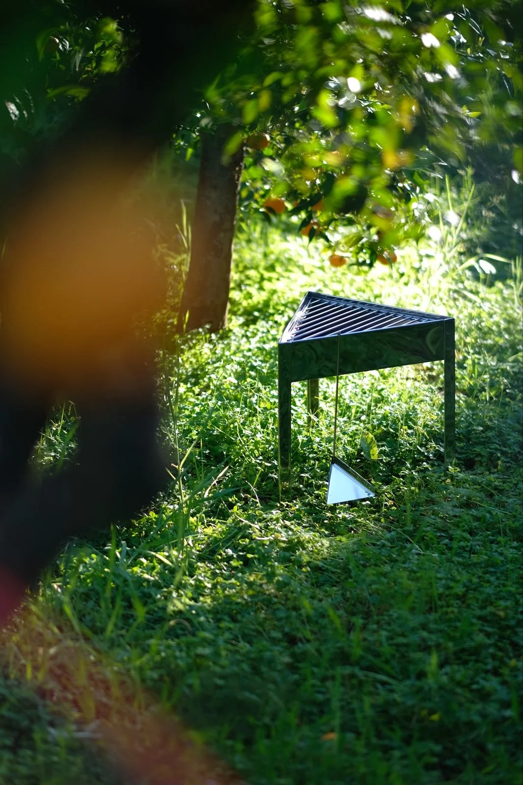 WhatsApp Image 2026-04-12 at 19.06.24.jpeg