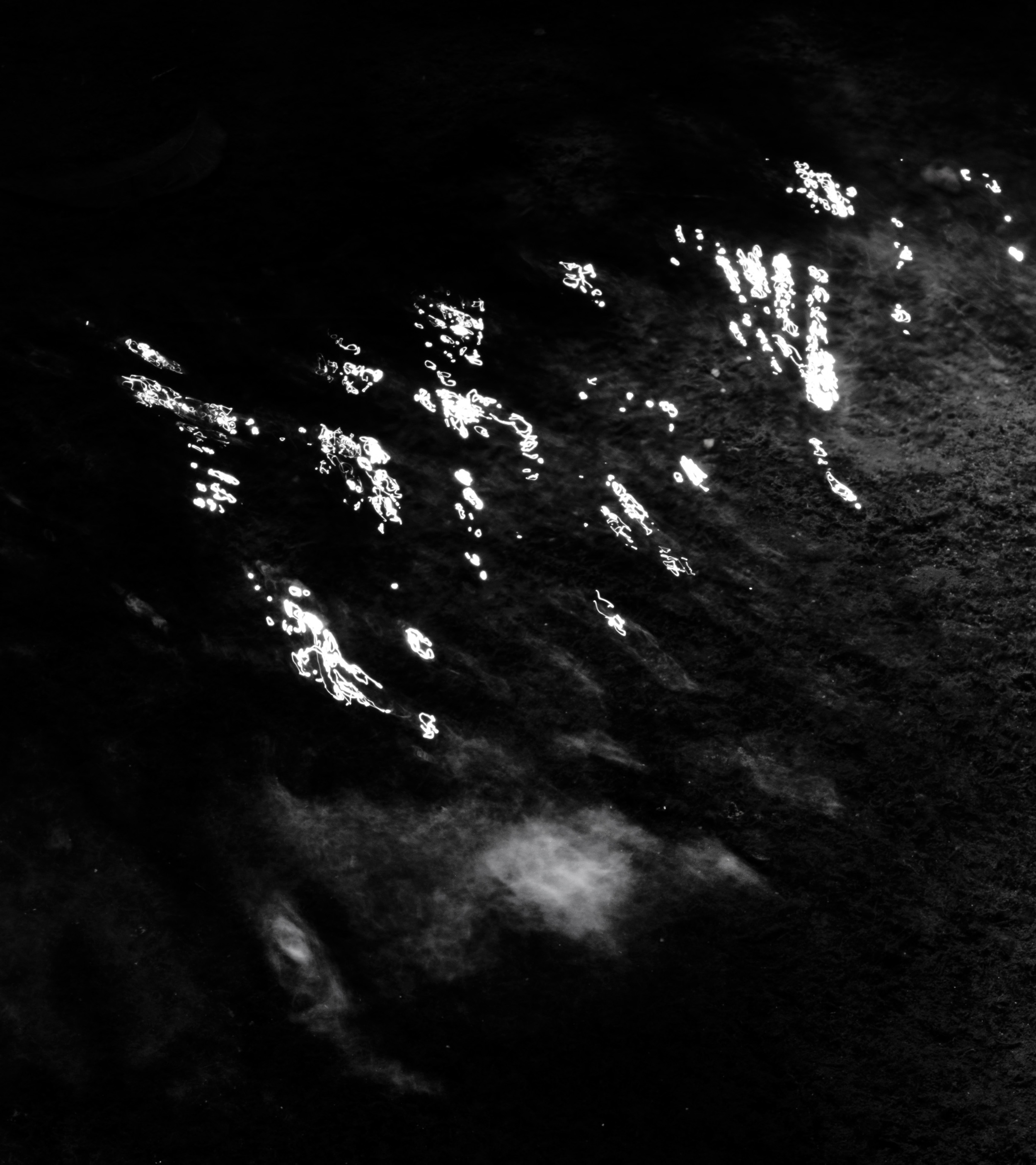   prints/fall-1-2014-untitled-6  