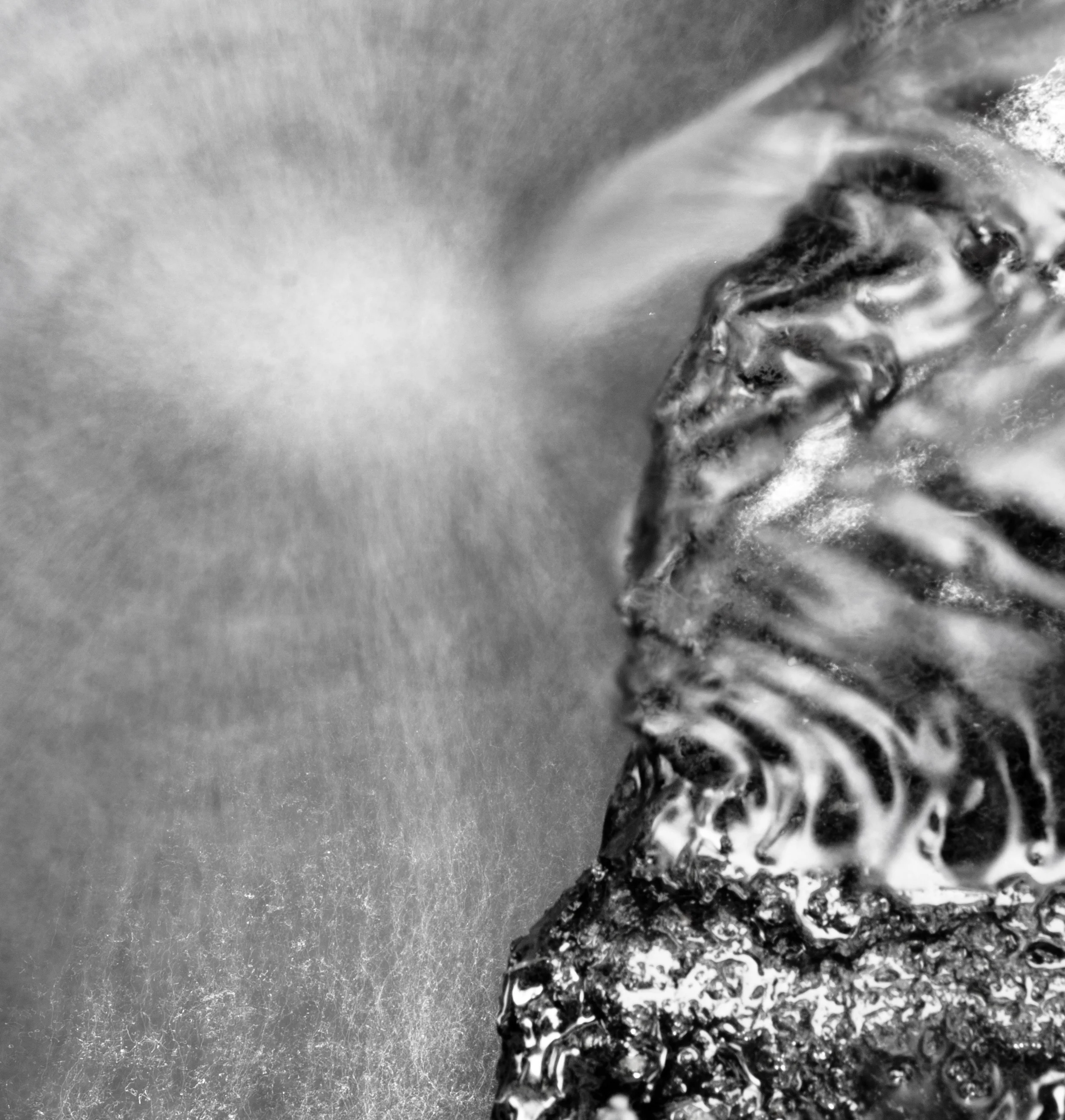   fall-1-2014-untitled-5  