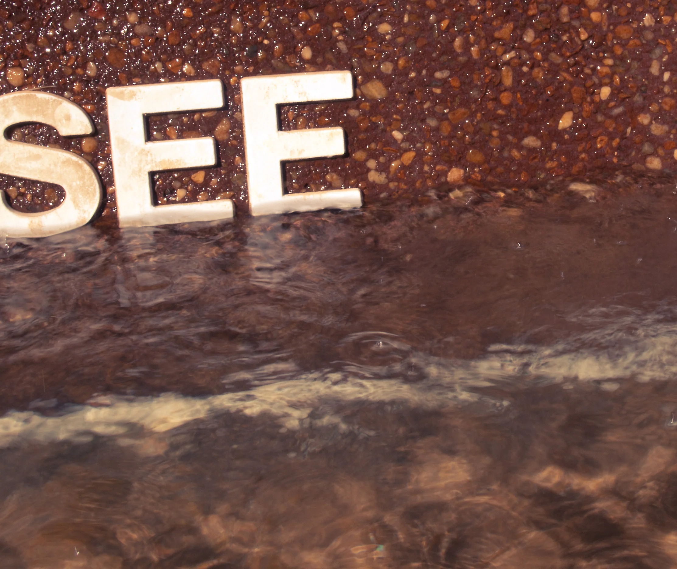   winter-2-2014-calling-it-see-would-be-too-easy  