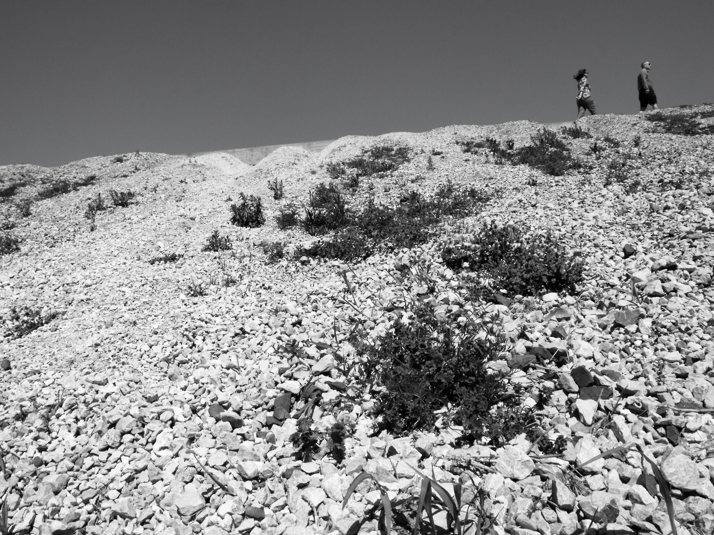 _3218641 copy as Smart Object-1.jpg