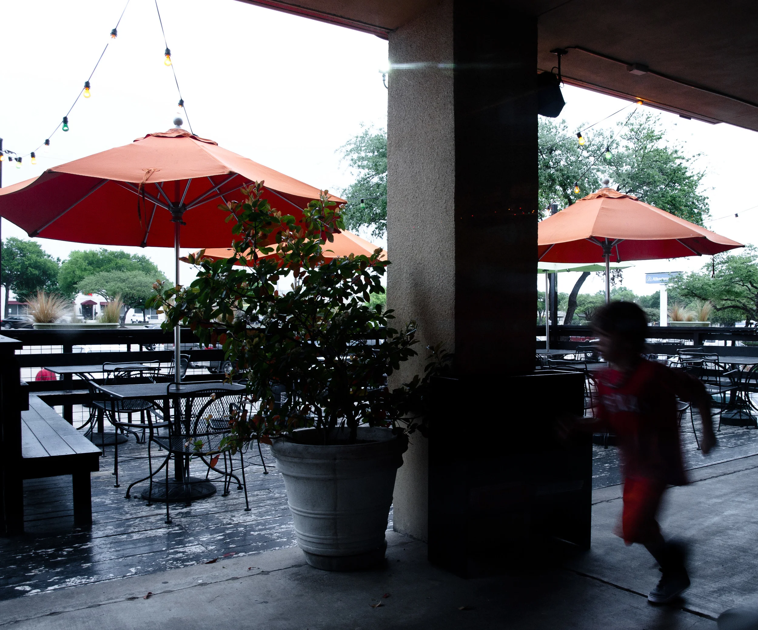 _4088934 as Smart Object-1 copy.jpg