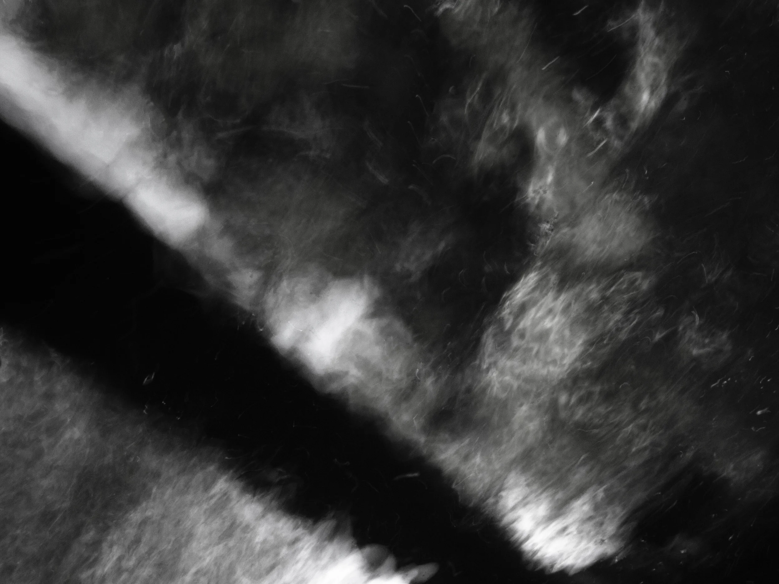 _4259734 copy copy as Smart Object-1.jpg