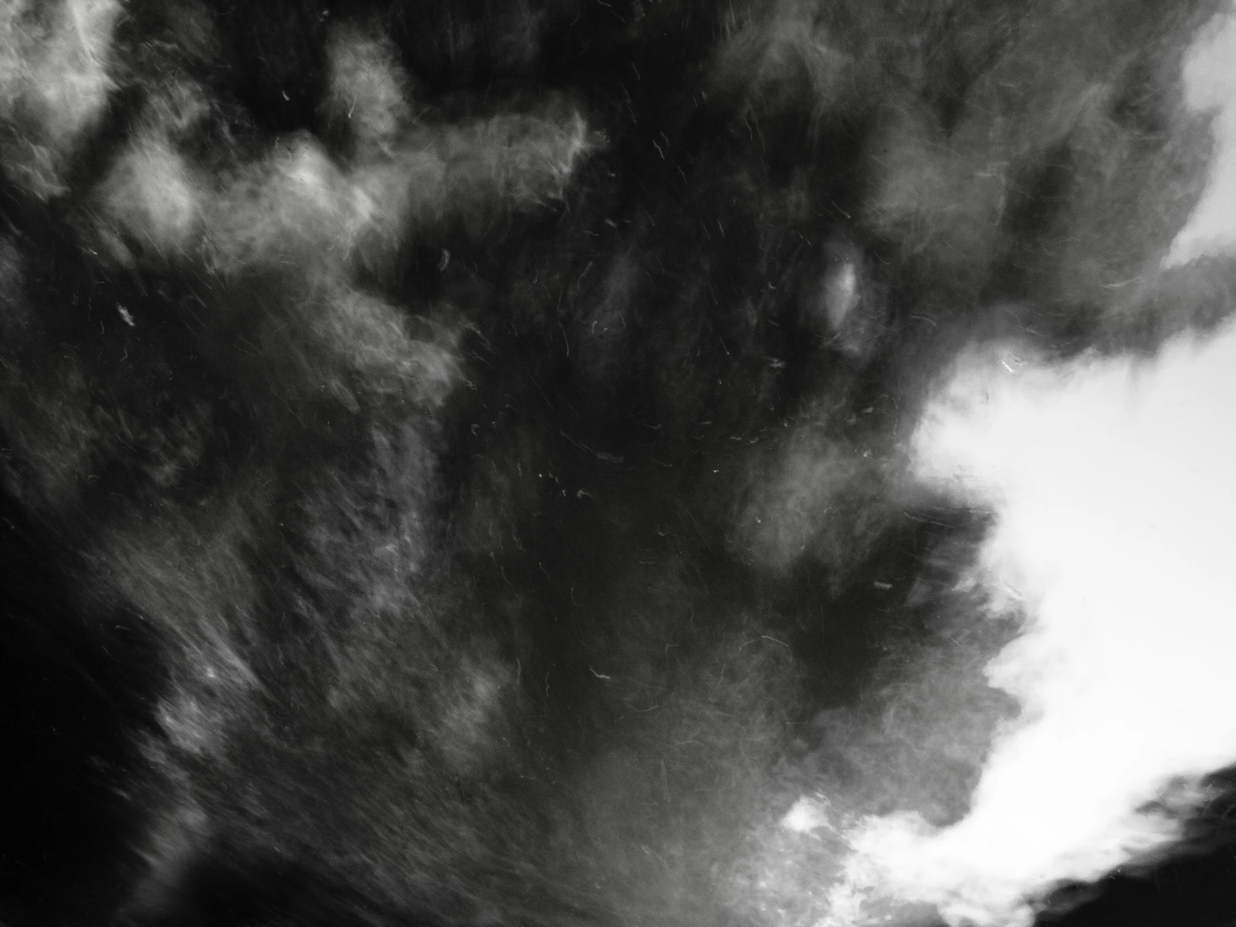 _4259728 copy copy as Smart Object-1.jpg