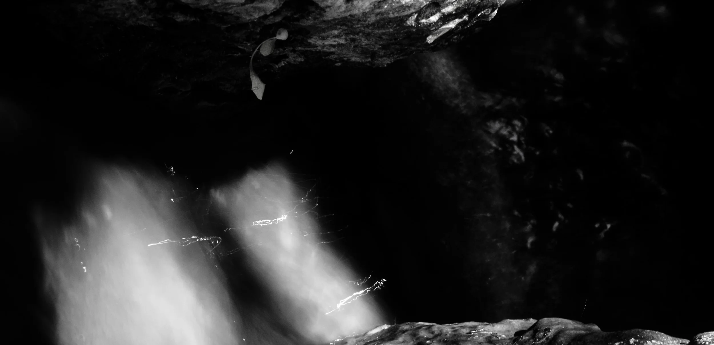 _4249719 copy copy as Smart Object-1.jpg