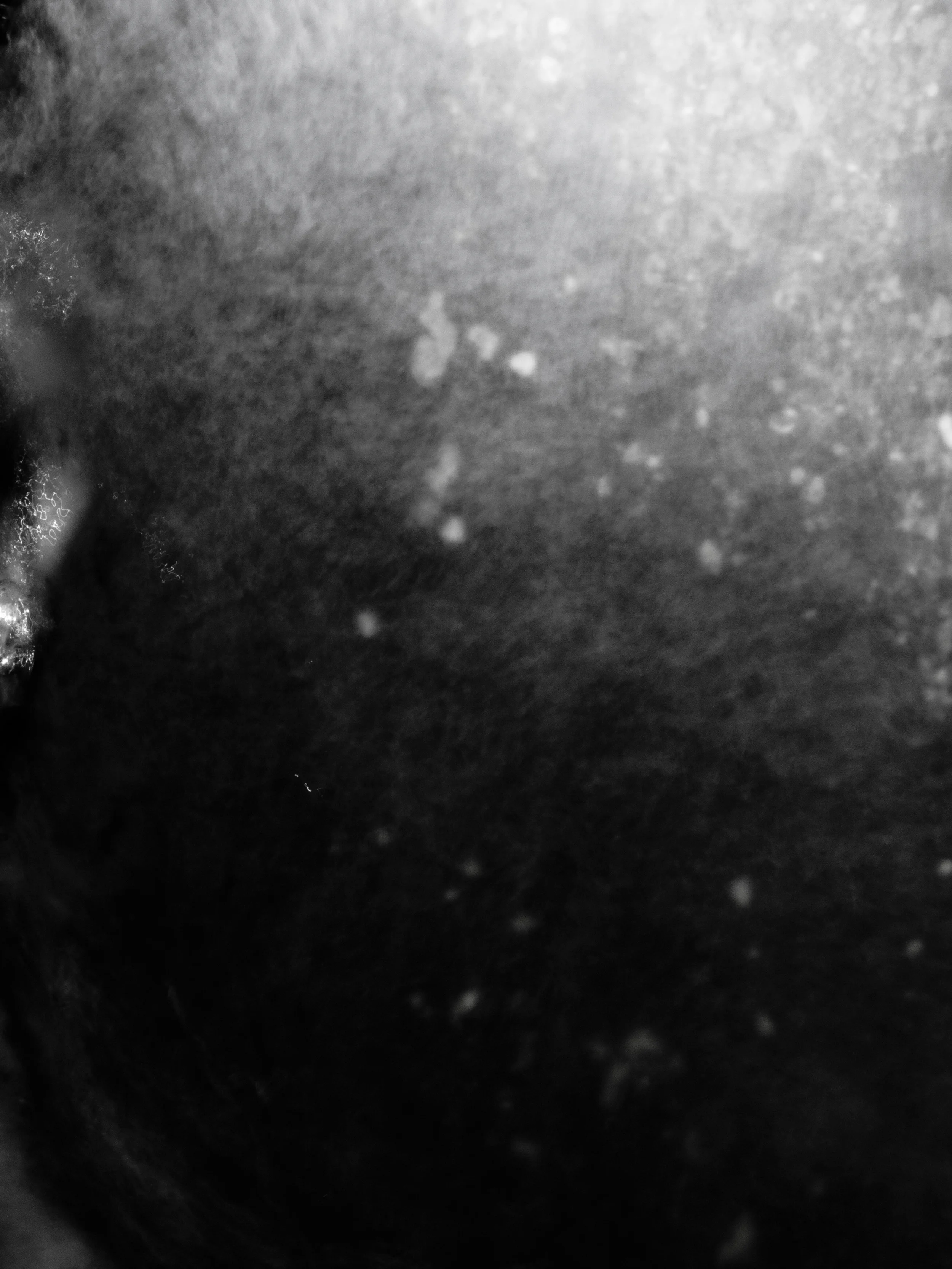 _4249714 copy as Smart Object-1.jpg