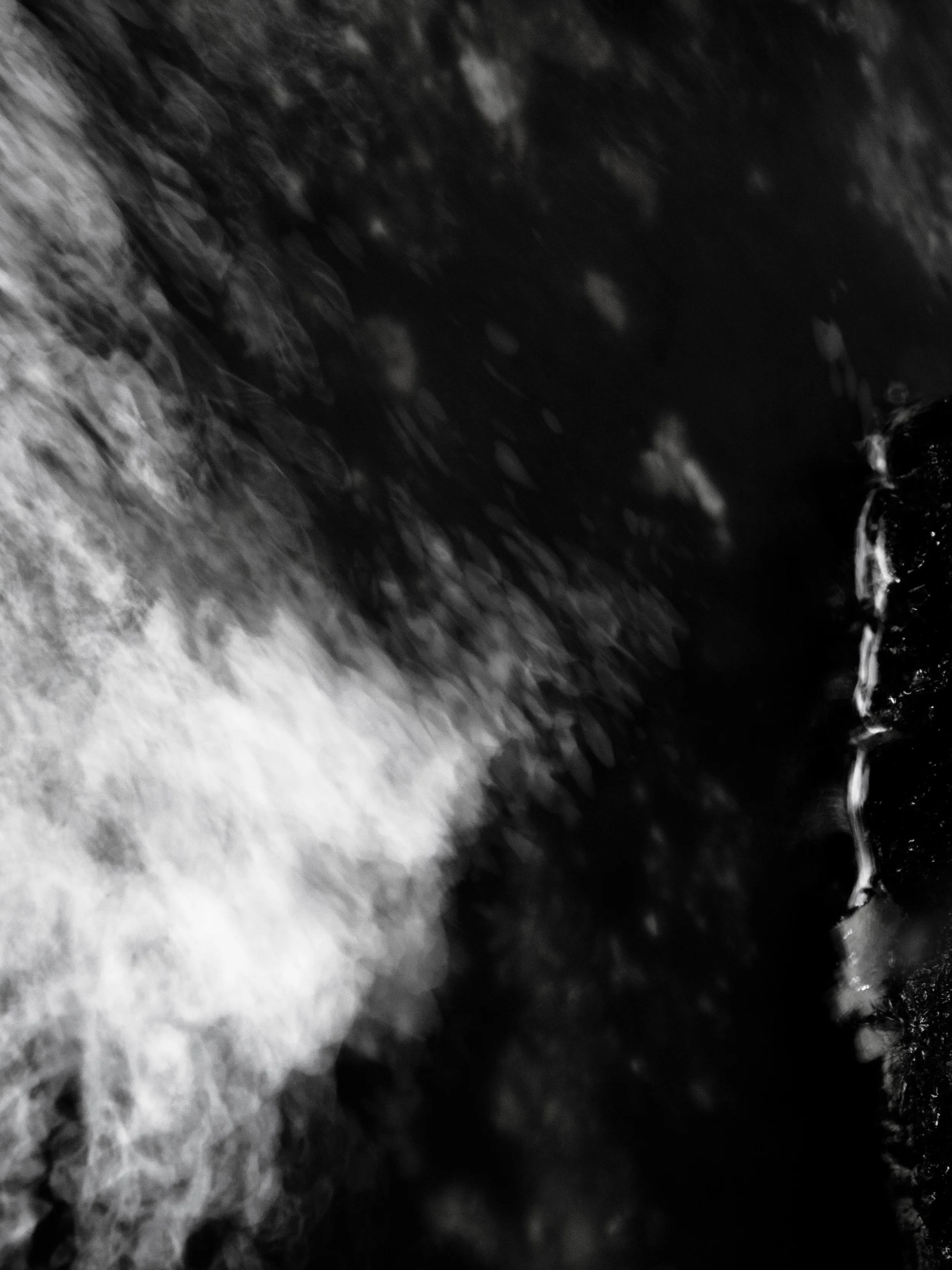 _4249711 copy copy as Smart Object-1.jpg