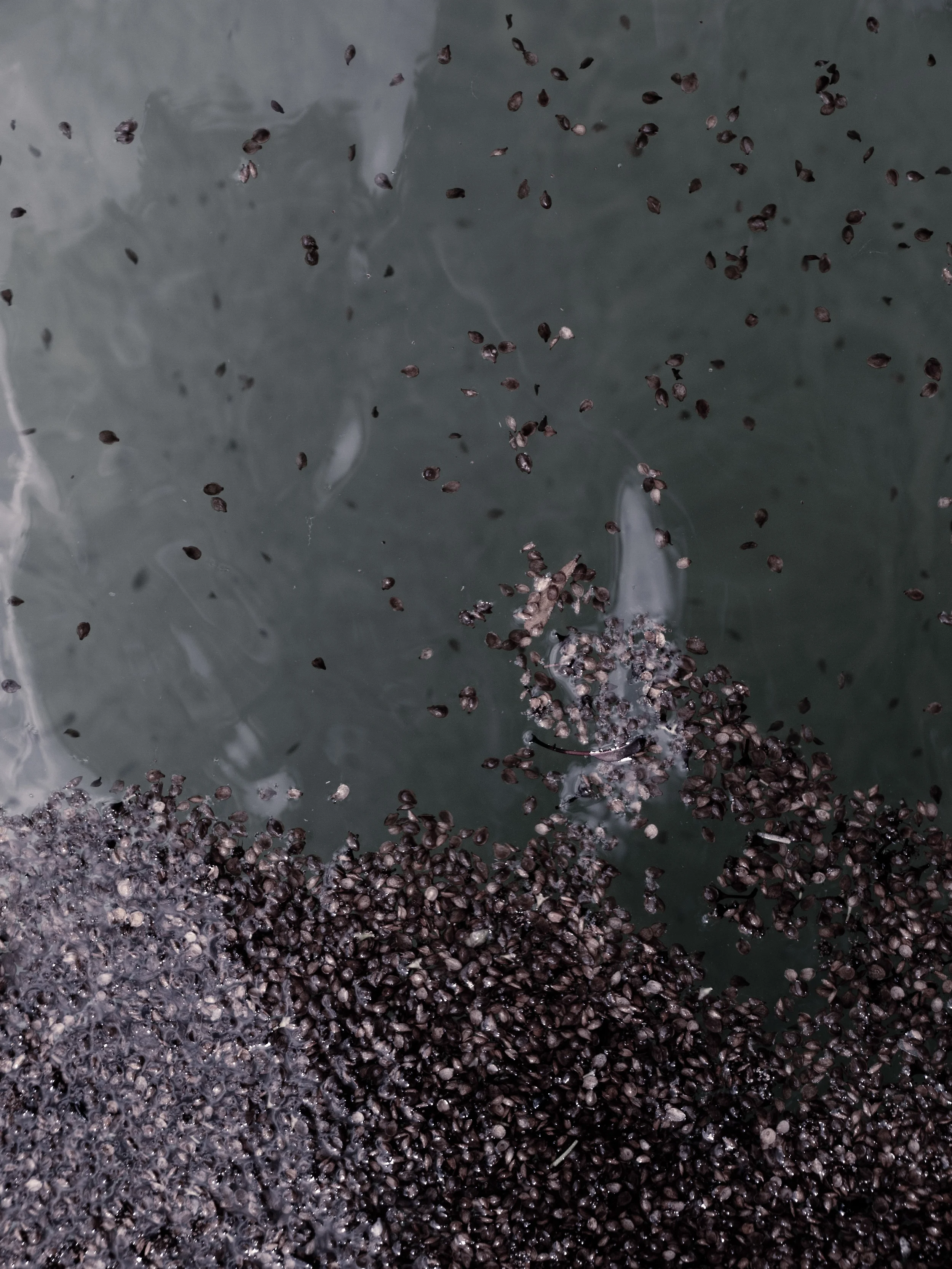 _4189483 copy as Smart Object-1.jpg