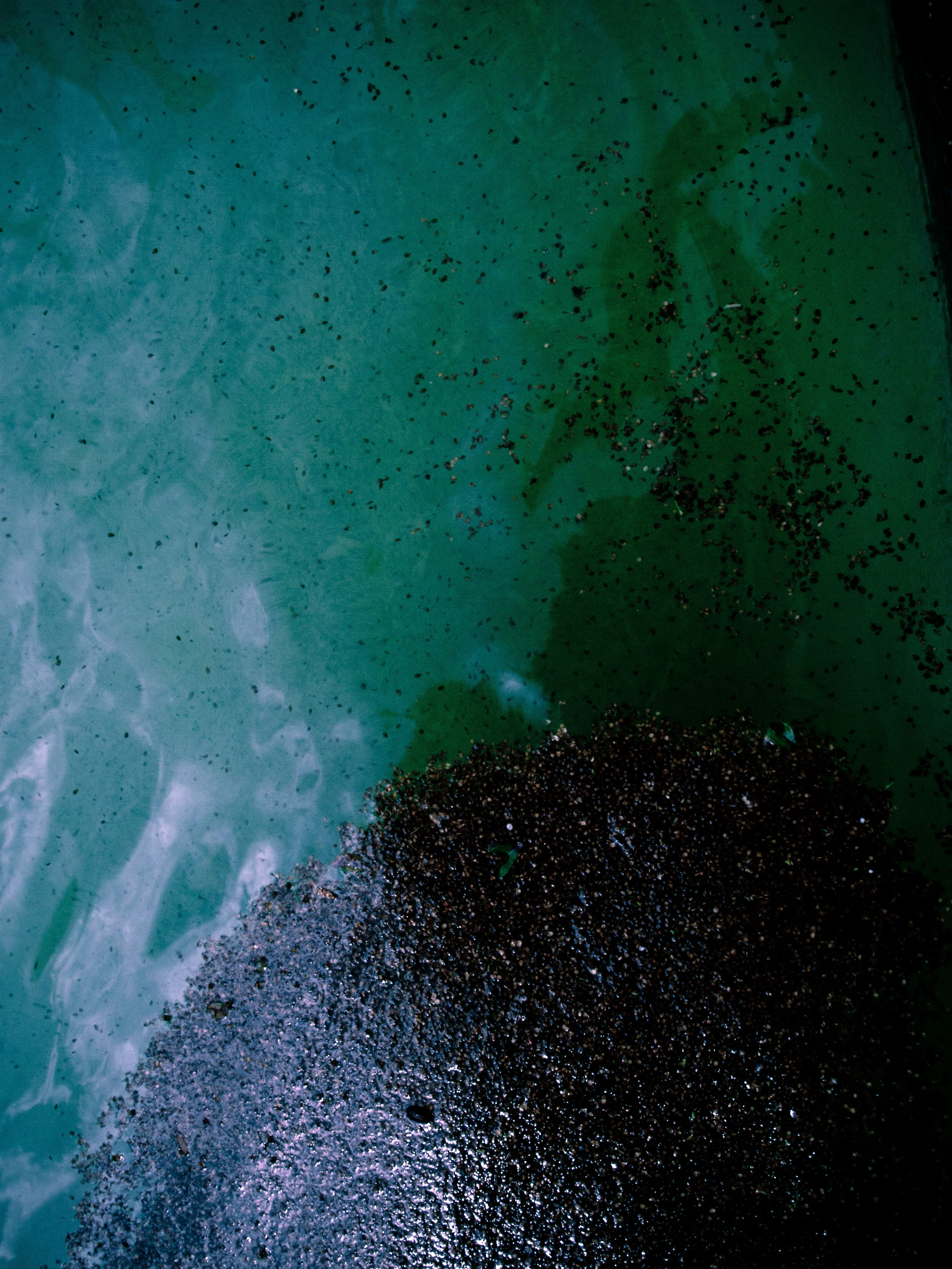 _4189481 as Smart Object-1.jpg