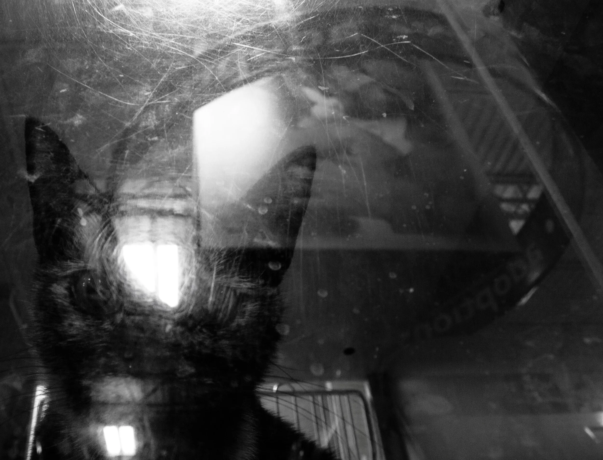 _4179447 copy copy as Smart Object-1.jpg