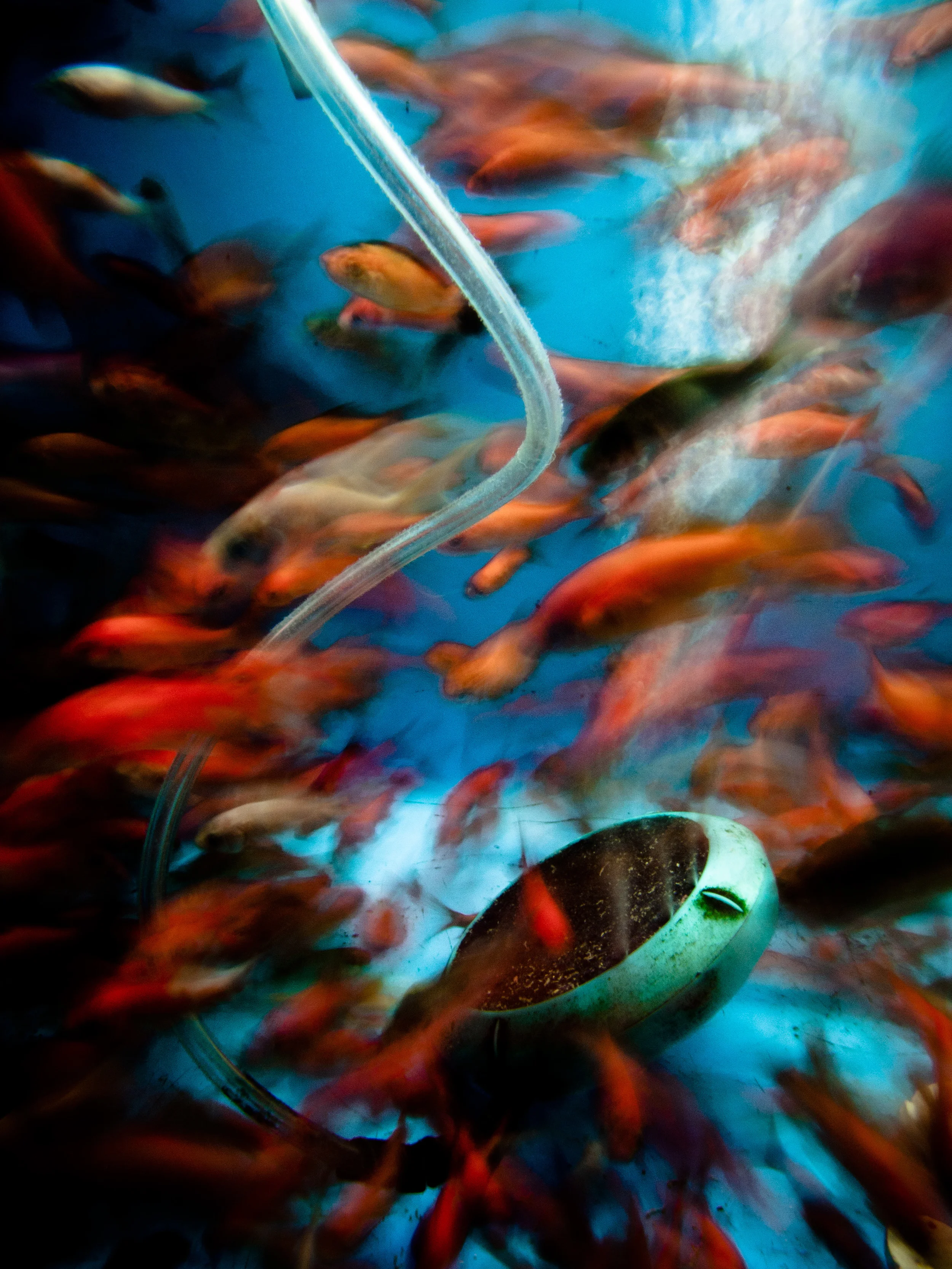 _4179433 copy as Smart Object-3.jpg