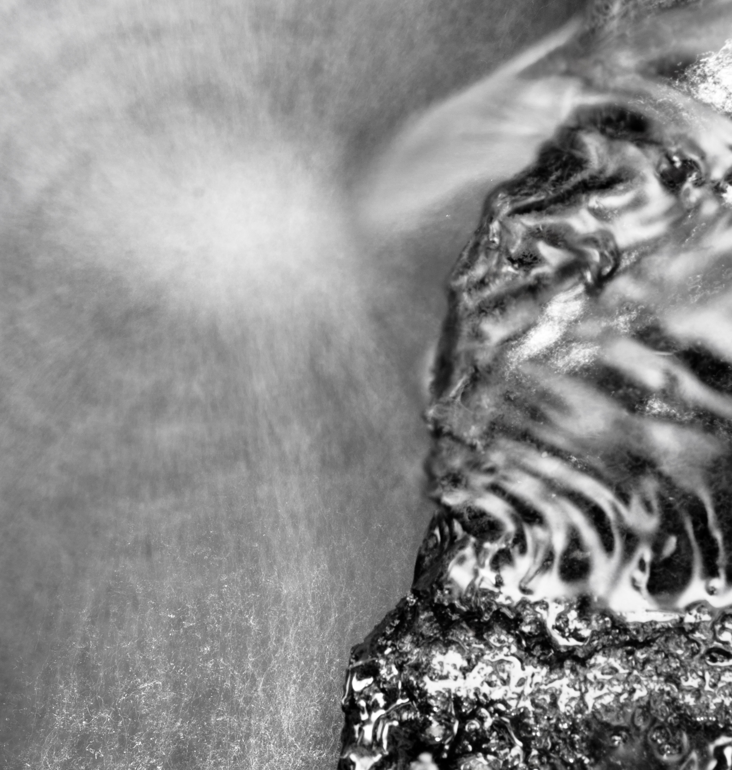 _1010183 copy as Smart Object-1.jpg